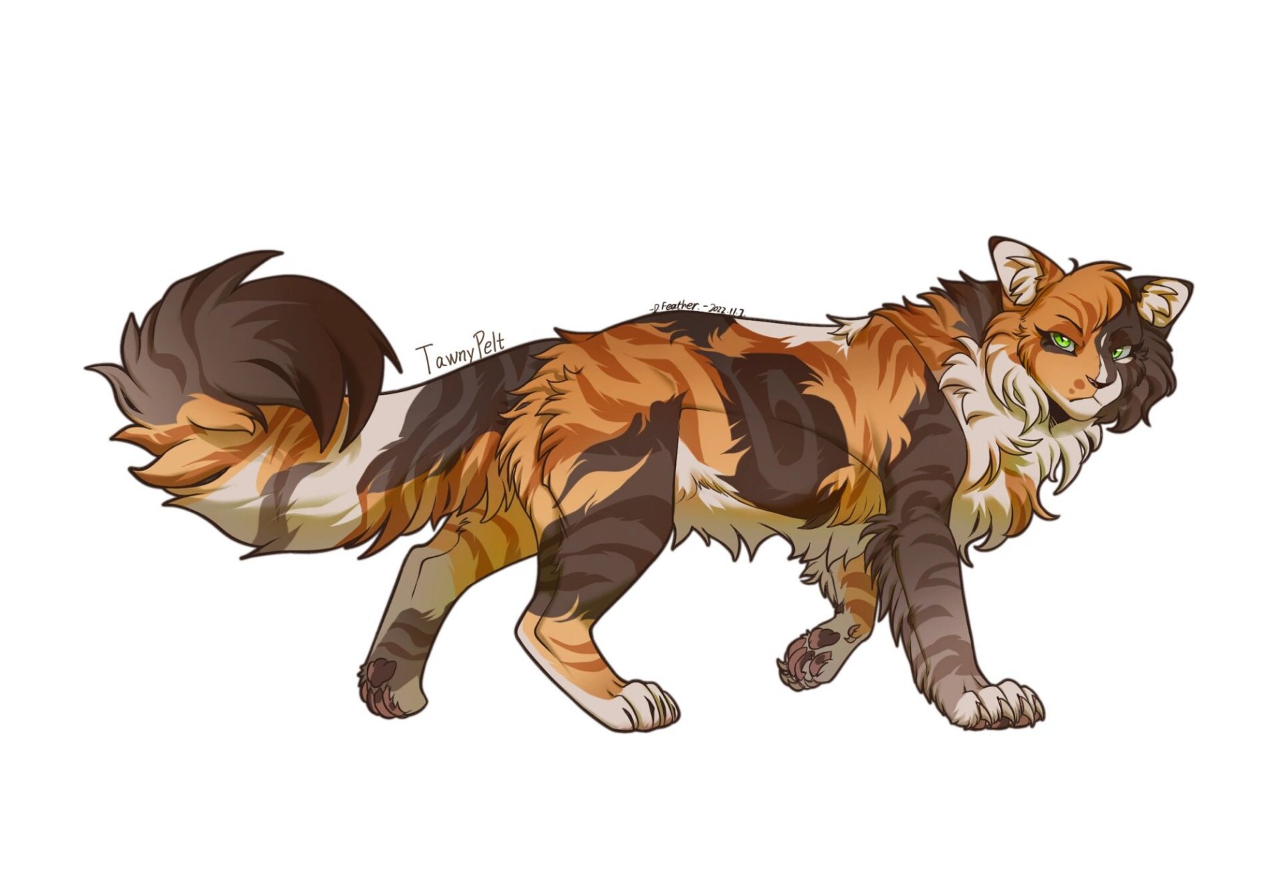 猫武士褐皮 今天的最后一只啦,还是禁转载禁做个人设定使用,收藏随意