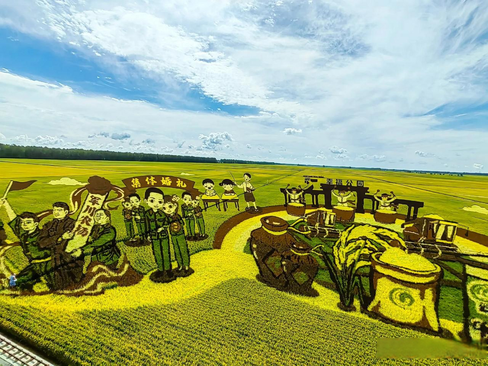 欣赏黑龙江宝泉岭军川农场稻田画示范区,巨幅水稻画无比壮观,北大荒