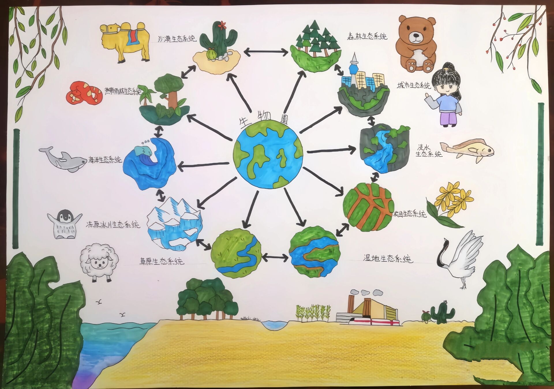 生物圈-生态系统