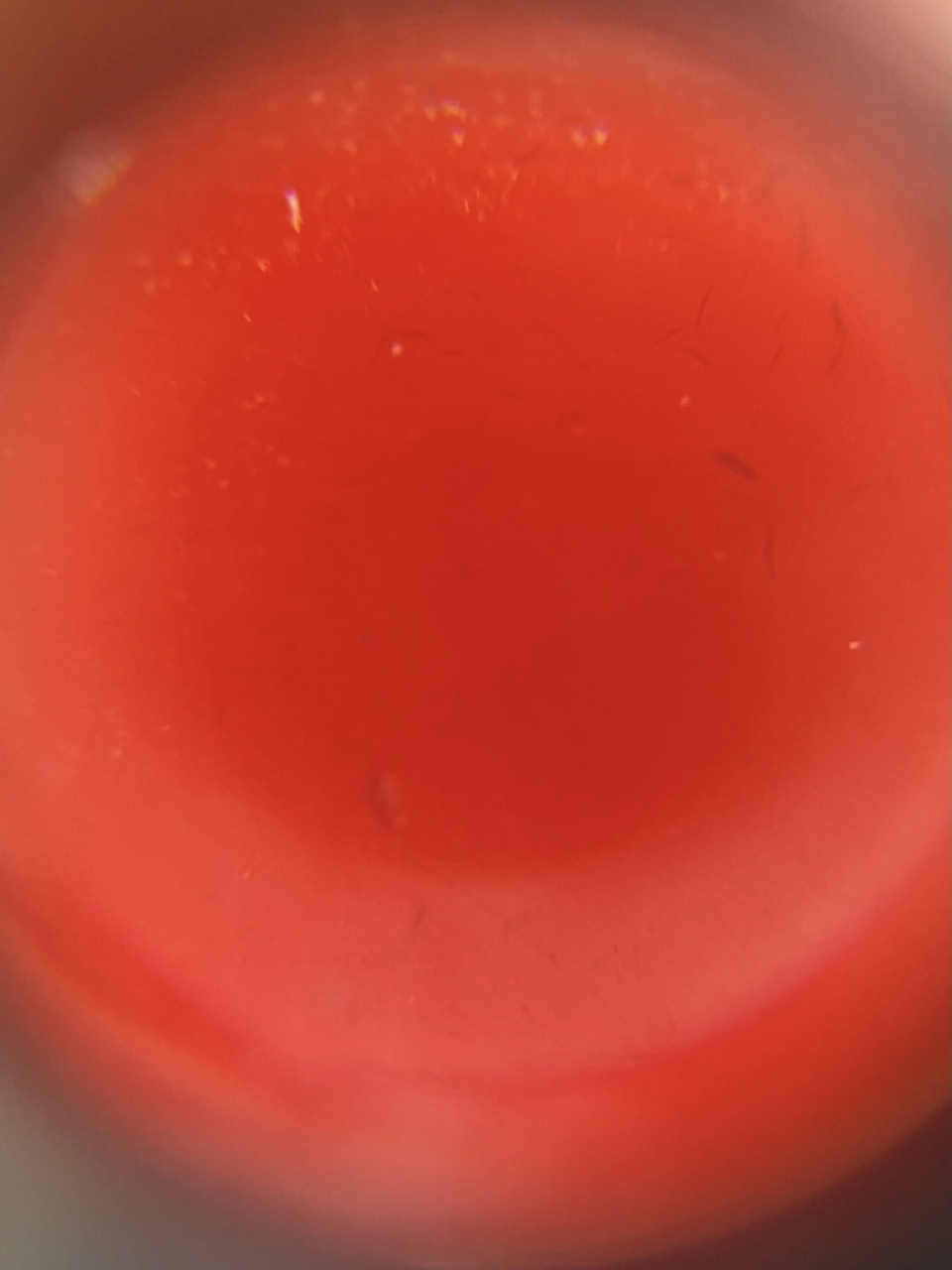 高温加色玛瑙留下的火劫纹 更新了图片给大家看得更清楚04 月牙93