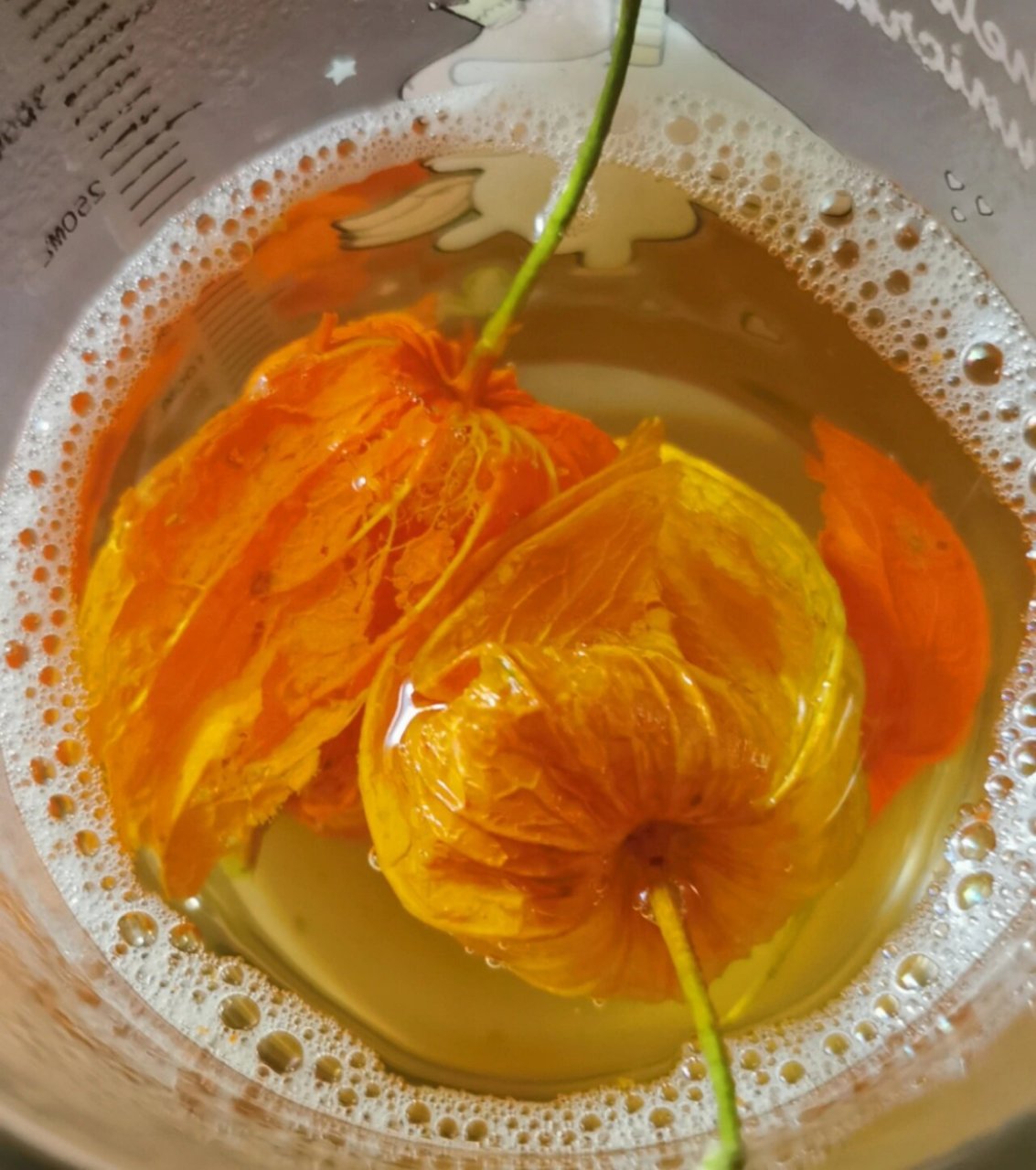 阳了嗓子疼的,喝这个试试 我从小嗓子疼就喝红姑娘泡水,2,3天就好