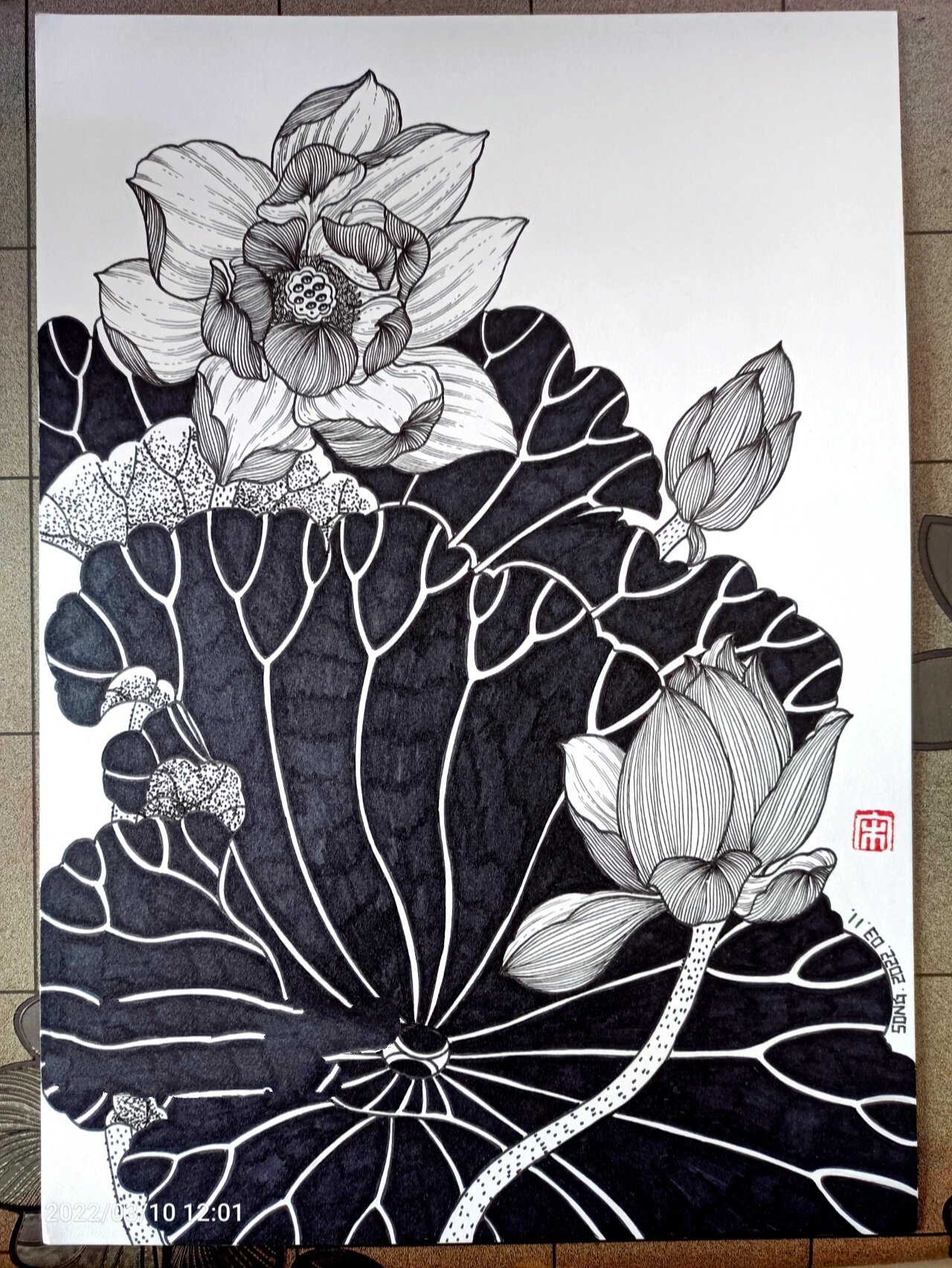 画100张黑白装饰画(121/200)荷花 黑白装饰画荷花   线描荷花   改自