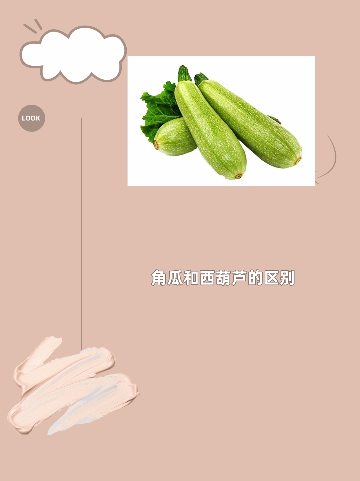 角瓜和西葫芦的区别 角瓜和西葫芦的区别如下:  1.
