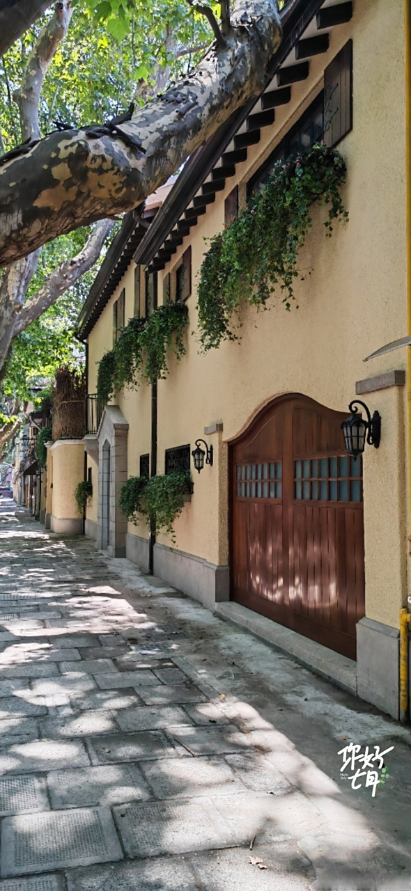 微博手机影像年##街影#  上海街景