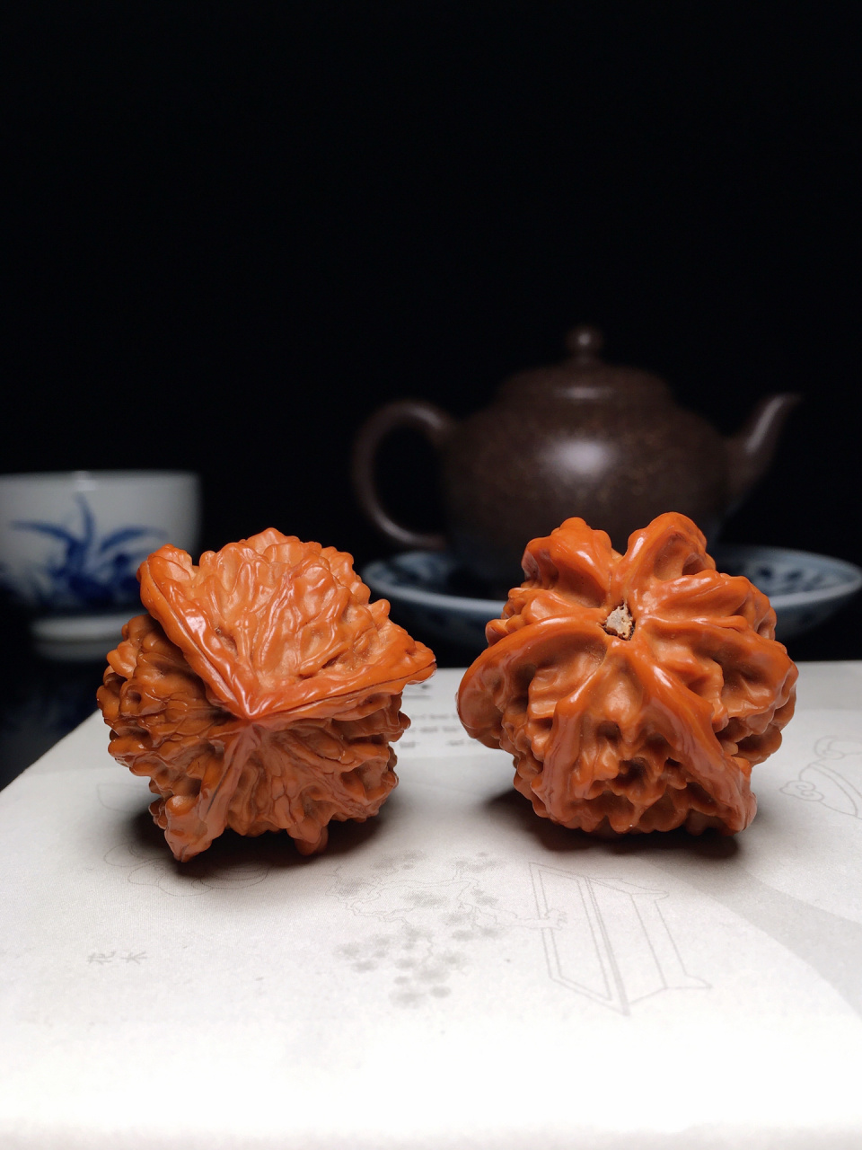 最亲民的三棱核桃·盘山公子帽三棱(老树)