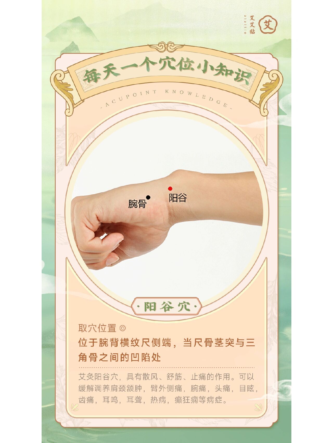 阳谷穴