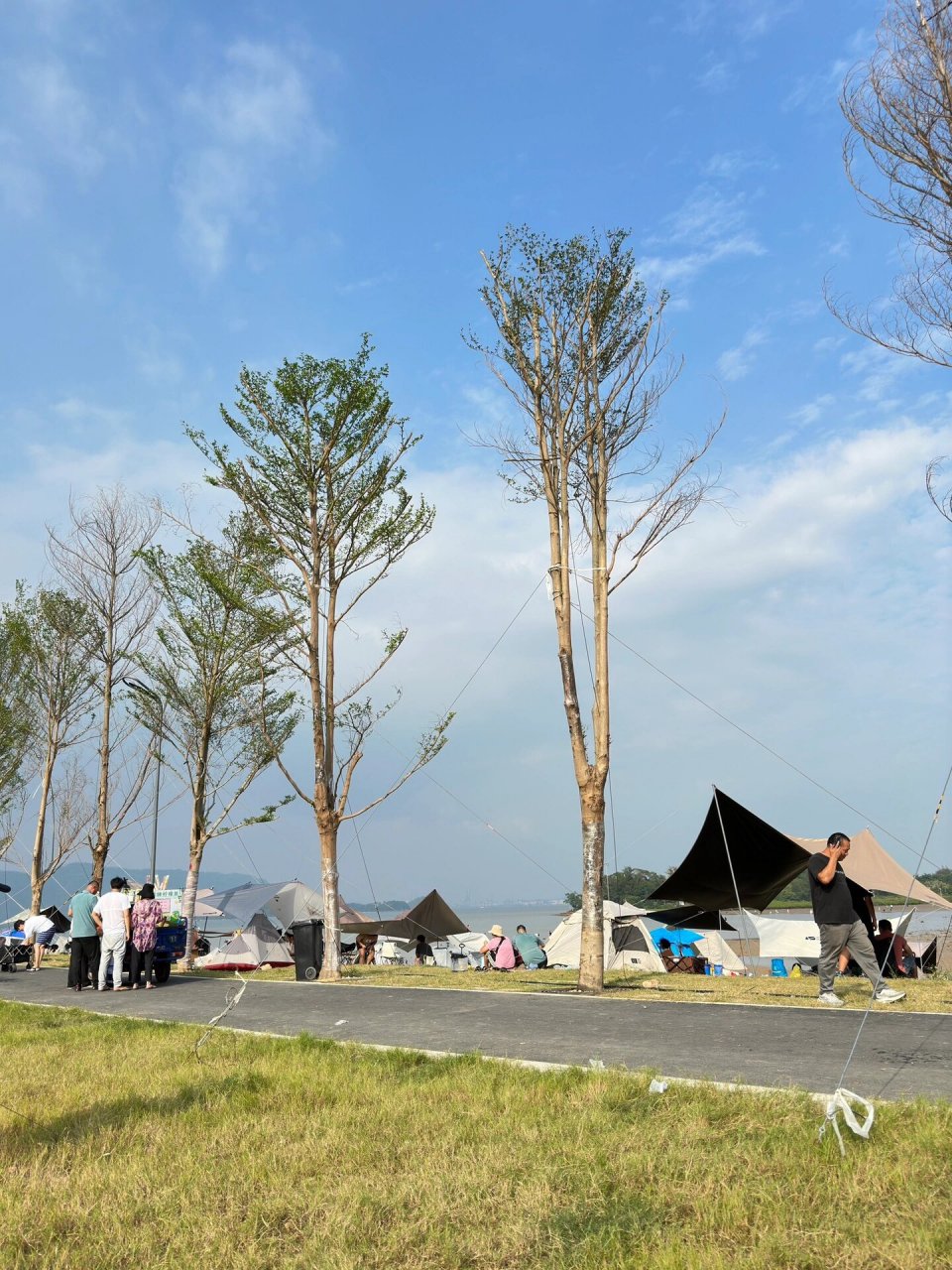 深圳坝光赶海,周末的亲子时光