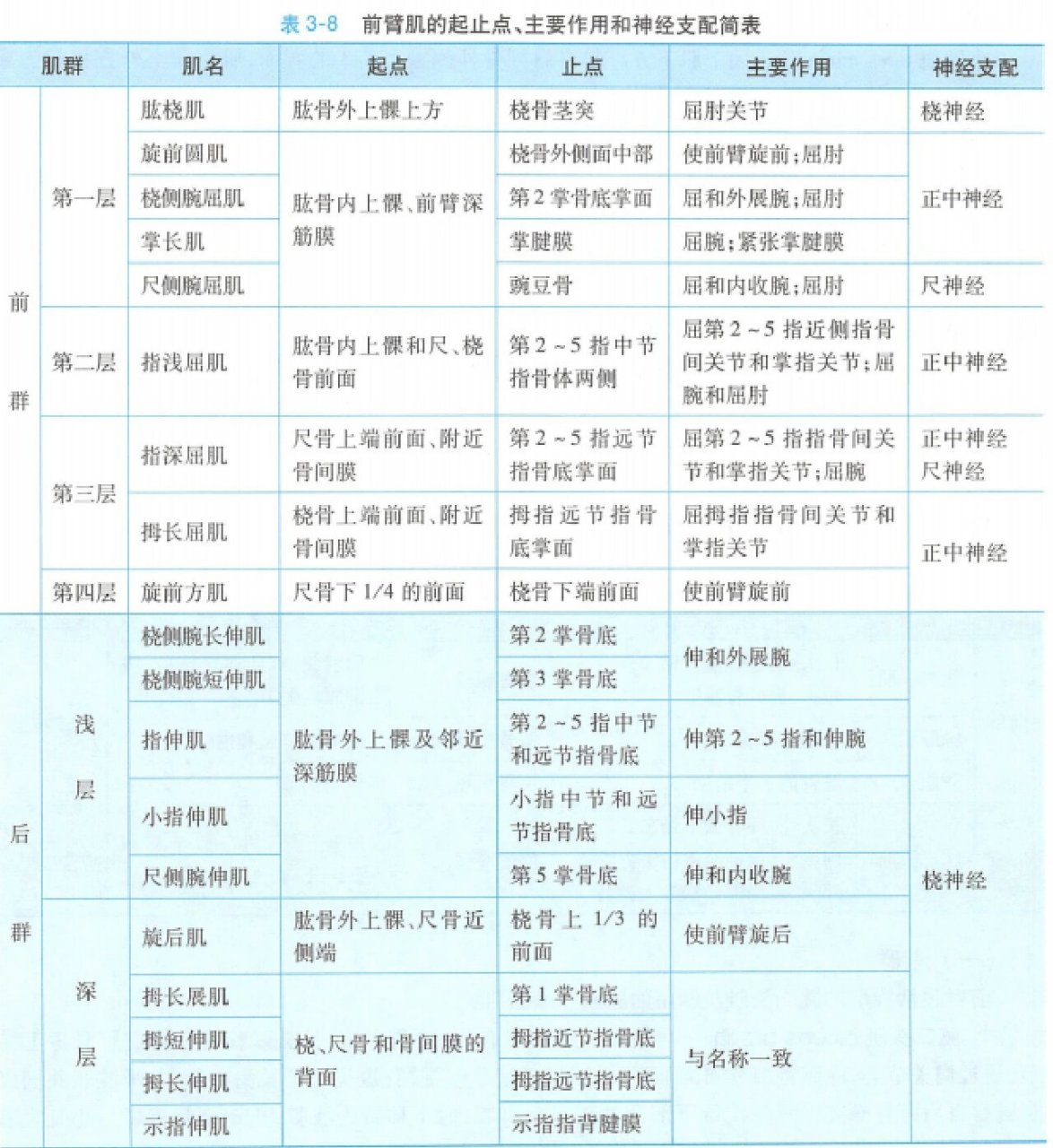 头后大直肌起止点图片