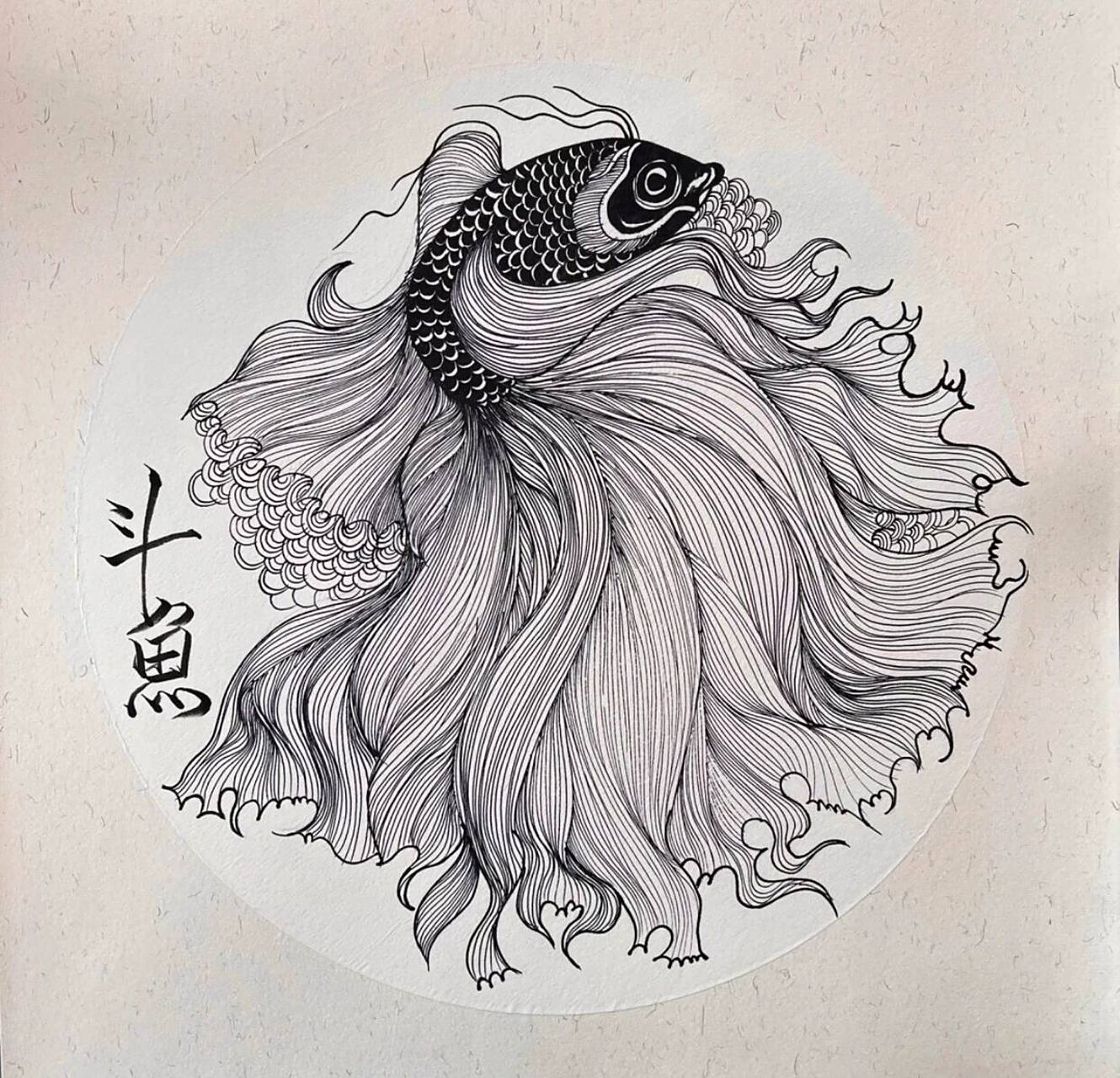 二年级创意素描《斗鱼》 今日课程《斗鱼》 1.通过图片写生.