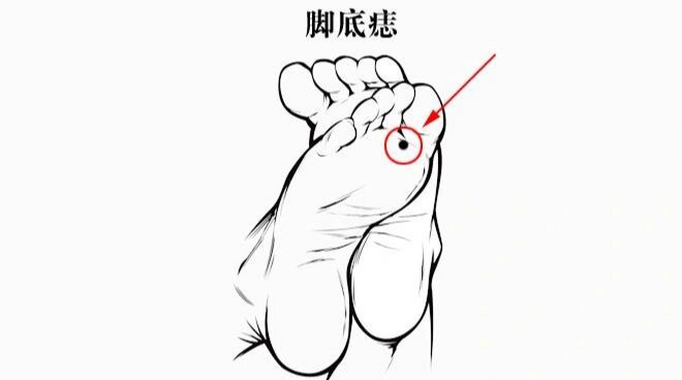 古相书有云:脚踏一星能管千兵.