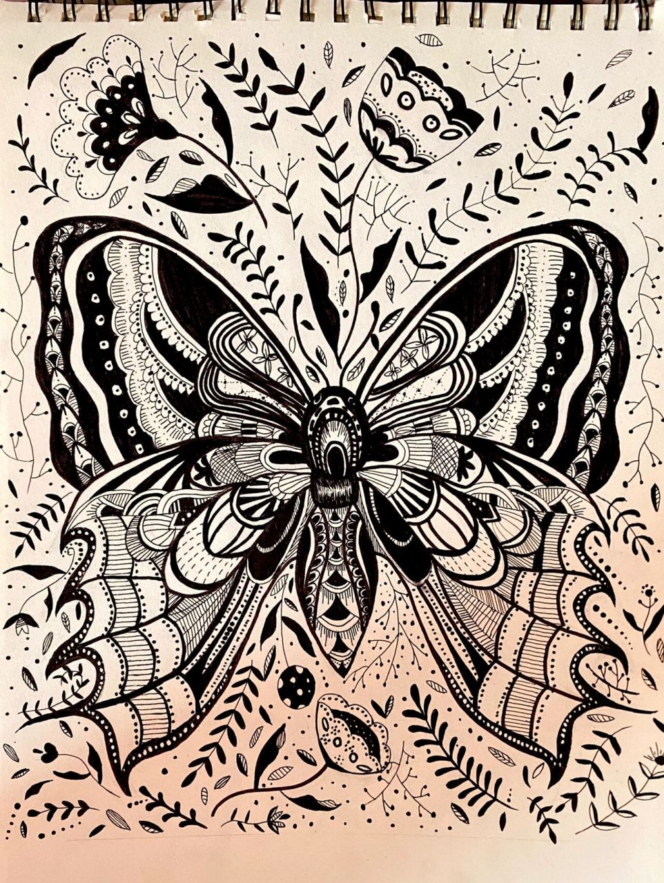 黑白装饰画【蝴蝶】 线描画 	 临摹