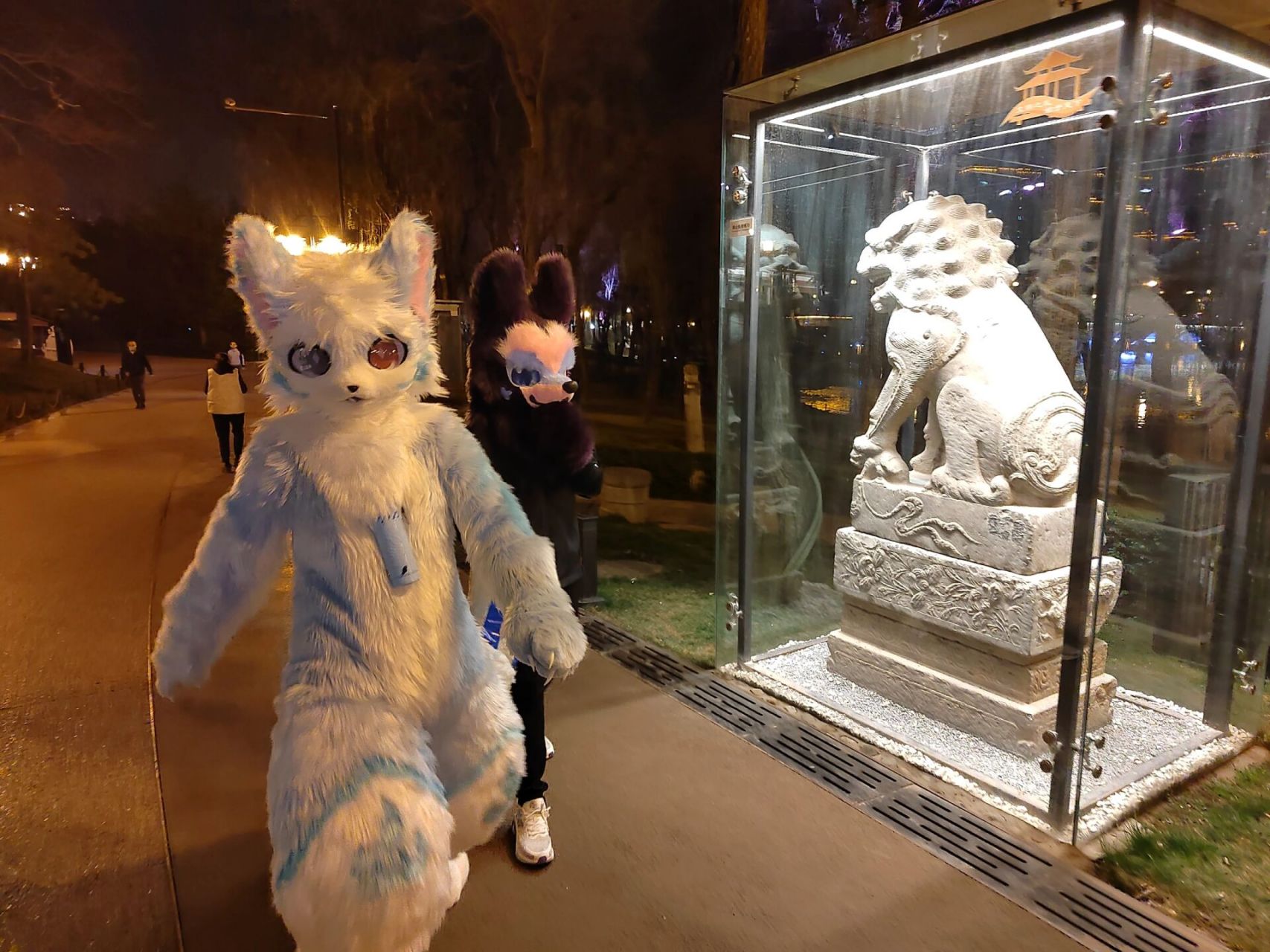 (要求:在鱼下单)半装,两单  2500   (头 爪 尾 舌头)单头,两单