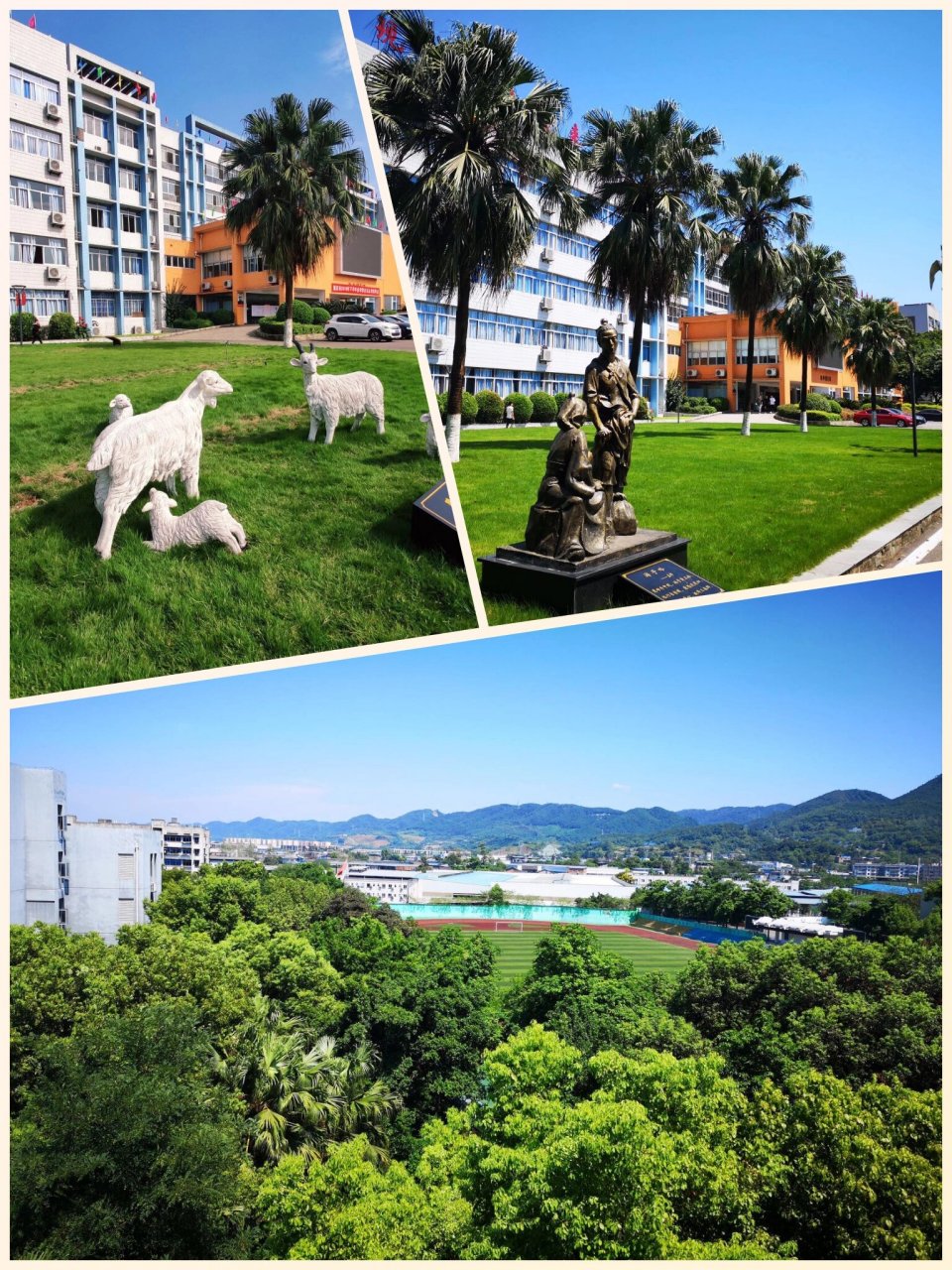 重庆市农业学校 学校简介:重庆市农业学校始建于1917年,迄今已有百余