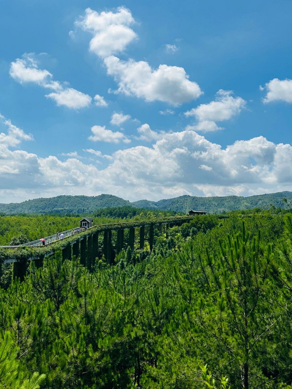 游氧武平丨氧吧之旅自由行两日游 - 假期玩进大自然,天然氧吧玩一夏