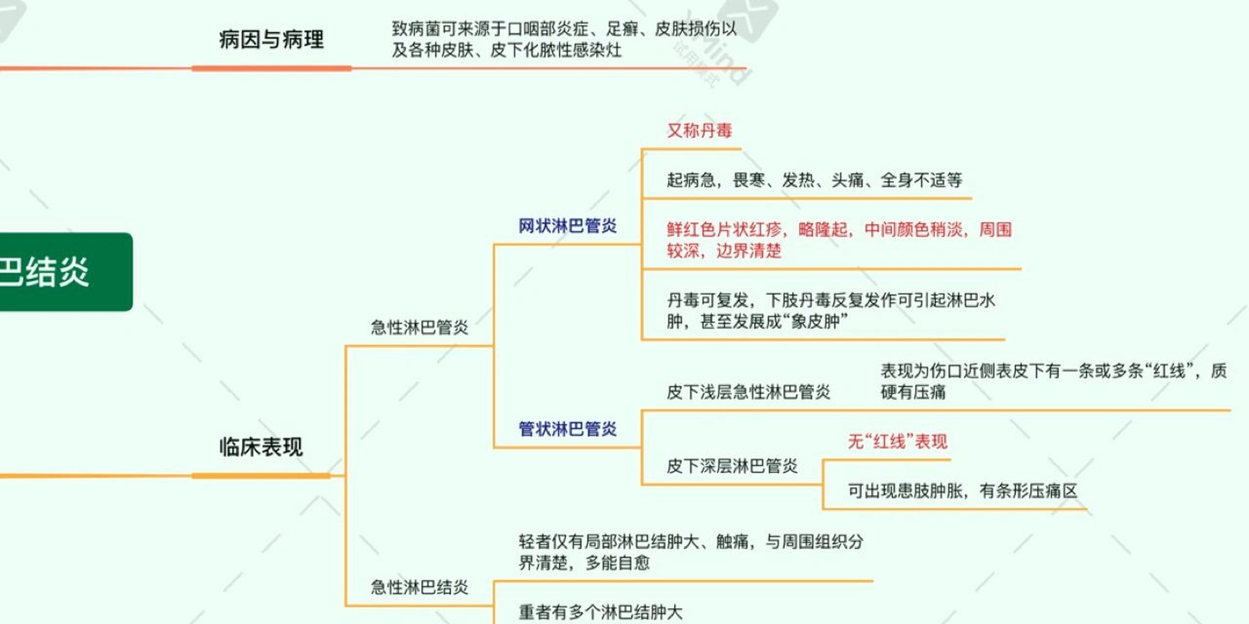 外科护理学61急性淋巴管炎