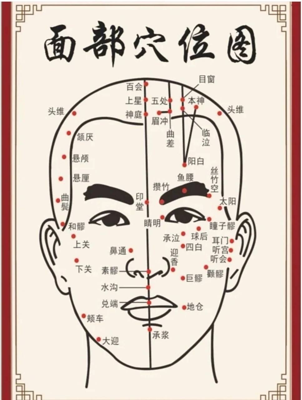 头部穴位图