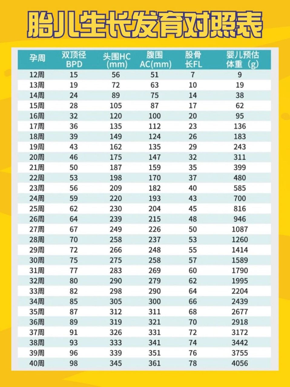不同孕周胎儿生长发育对照表  胎儿孕周表 准爸准妈看看