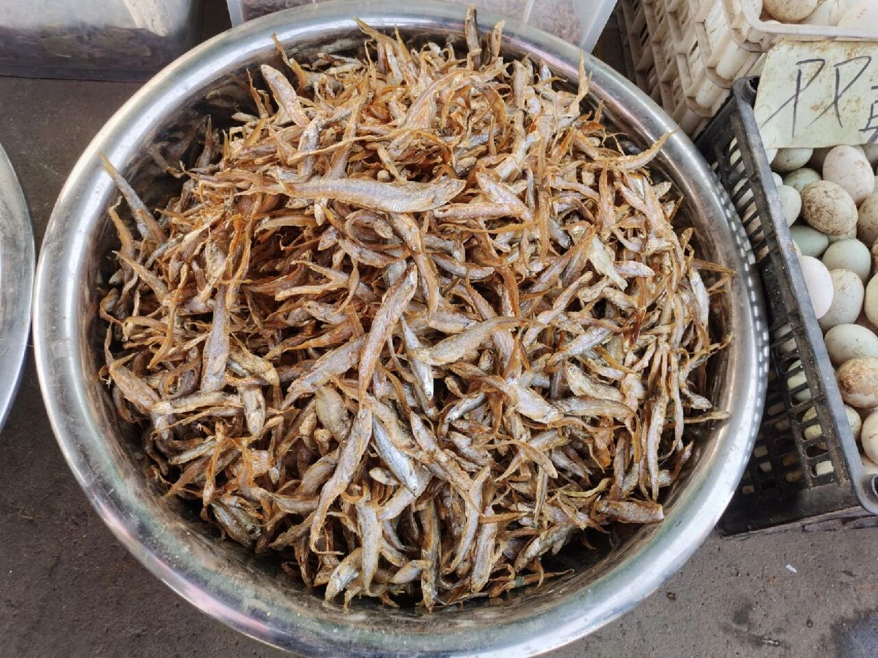 淡水鱼 | 湖鲚(毛刀鱼) 微山湖边