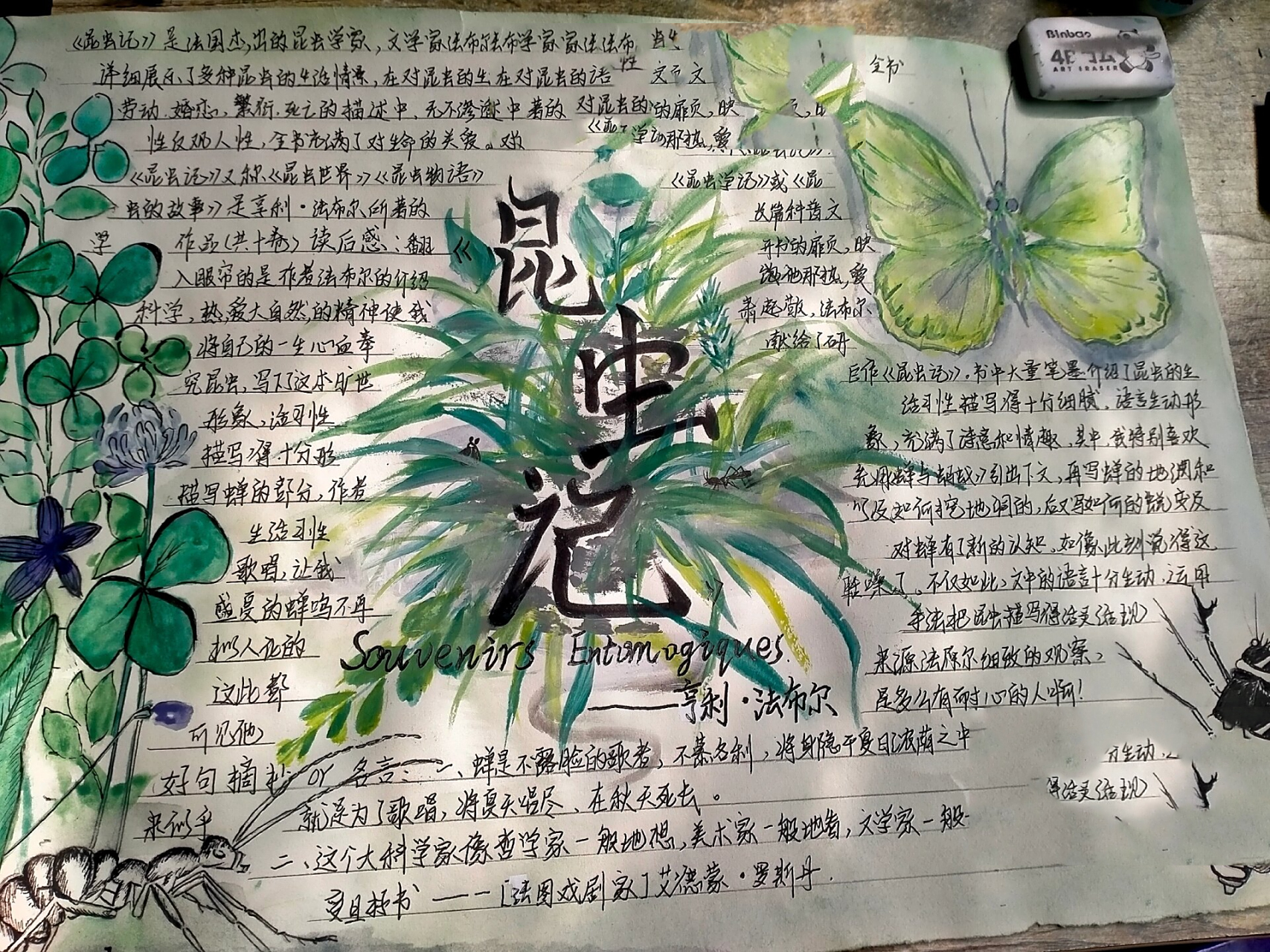 《昆虫记》手抄报