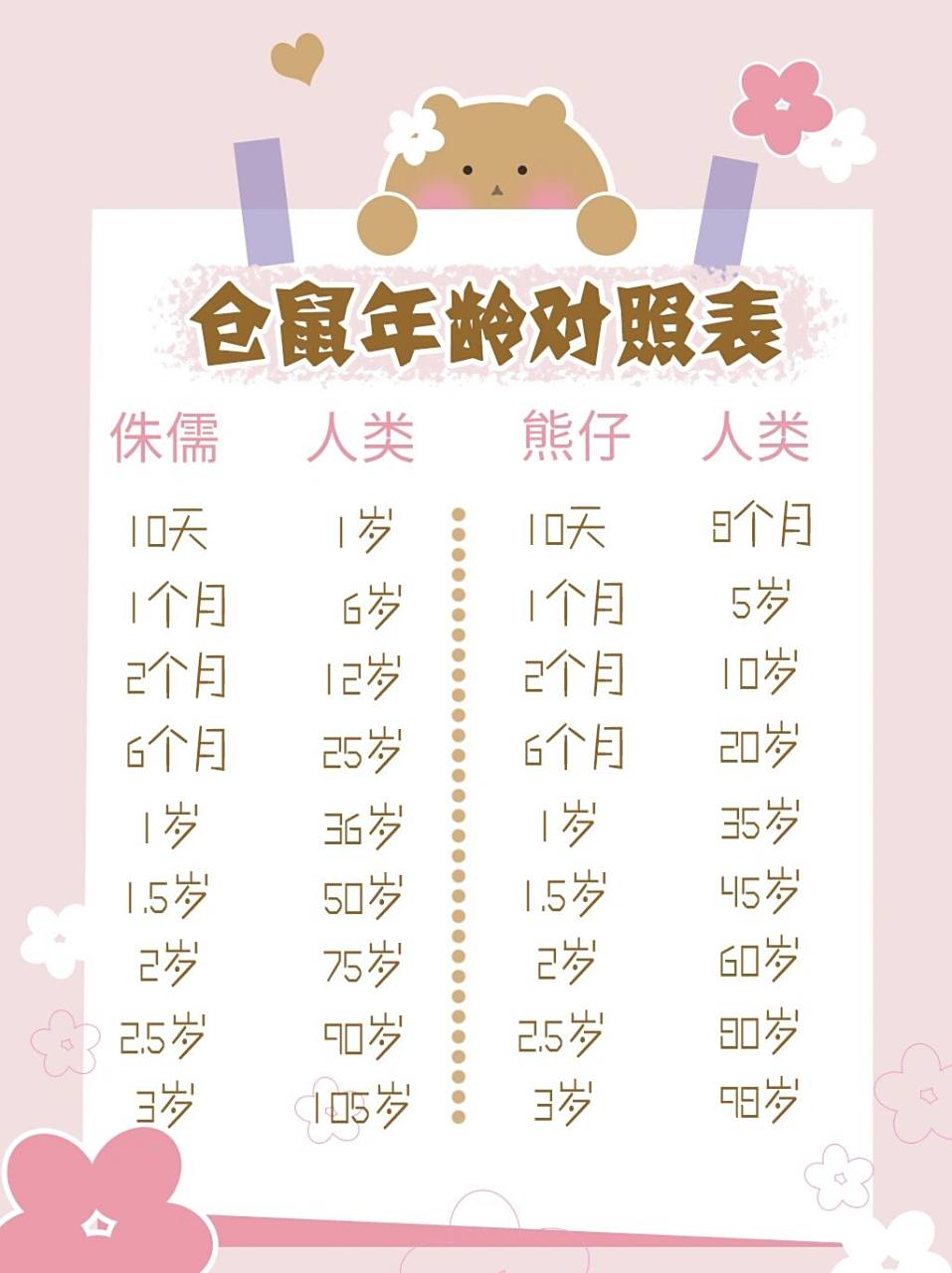 仓鼠的寿命一般在1.5-2.