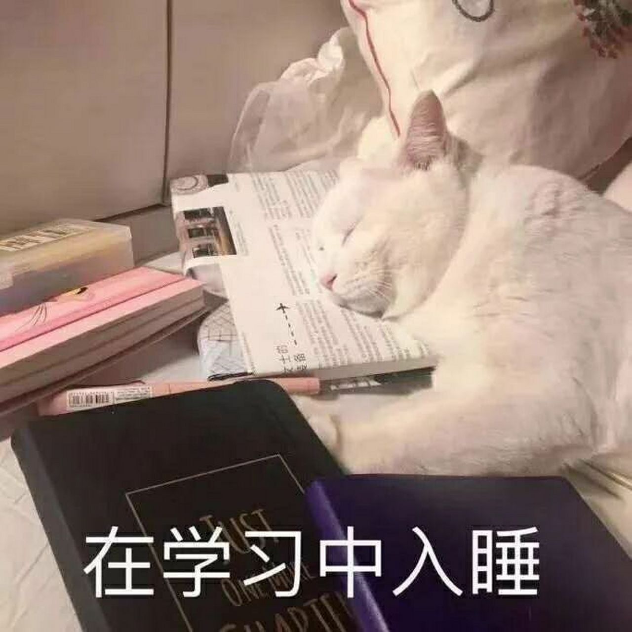 认真学习 朋友圈背景图