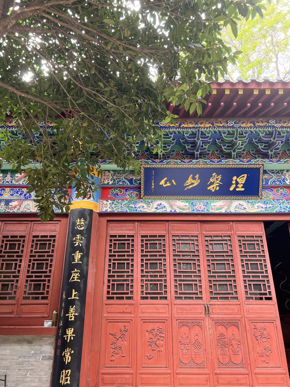 西安弥陀寺|公交可直达南山脚下的千年古刹 "白玉缀枝头,无绿也无愁.