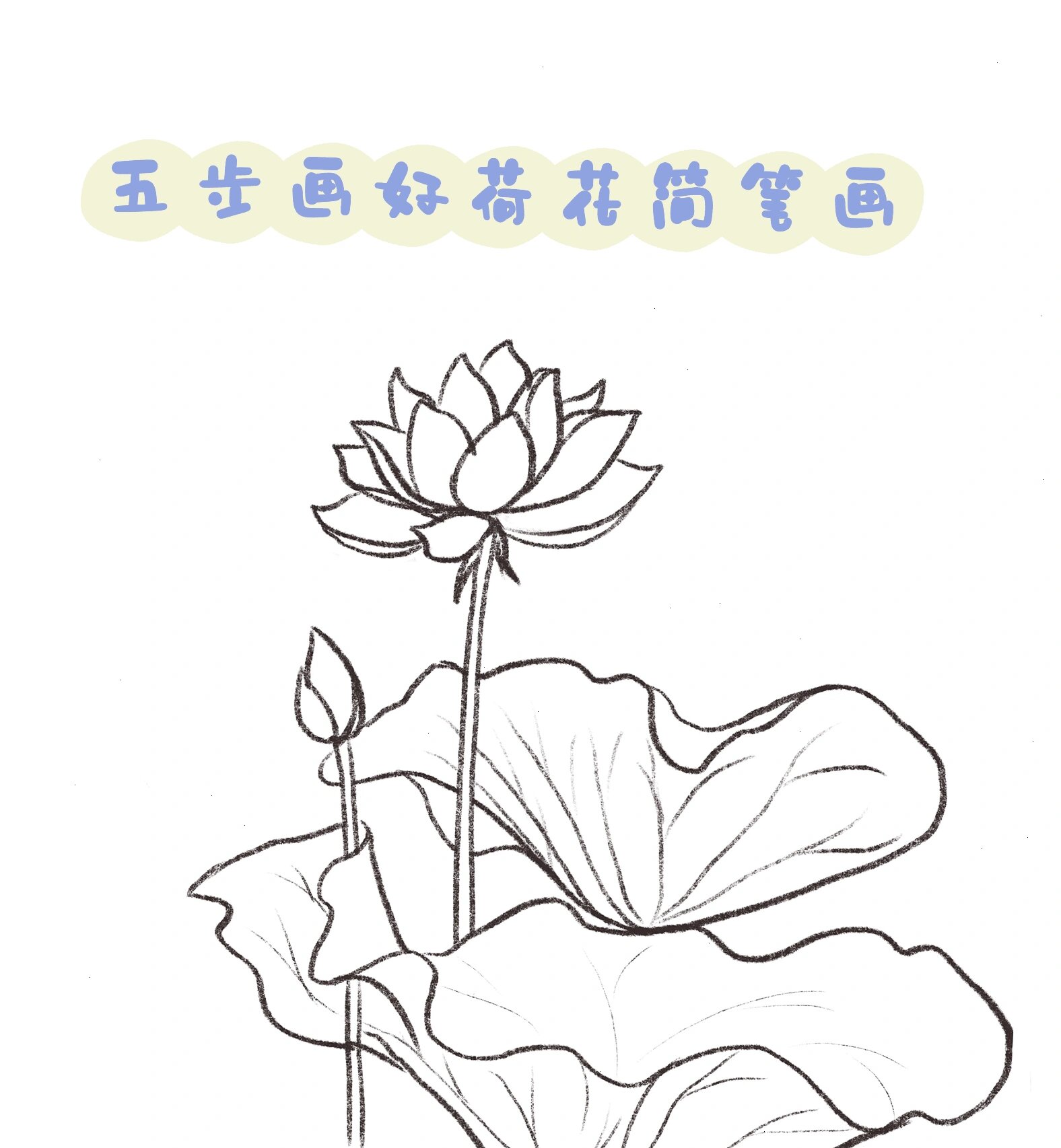 适合小孩纸画的荷花简笔画教程来啦!