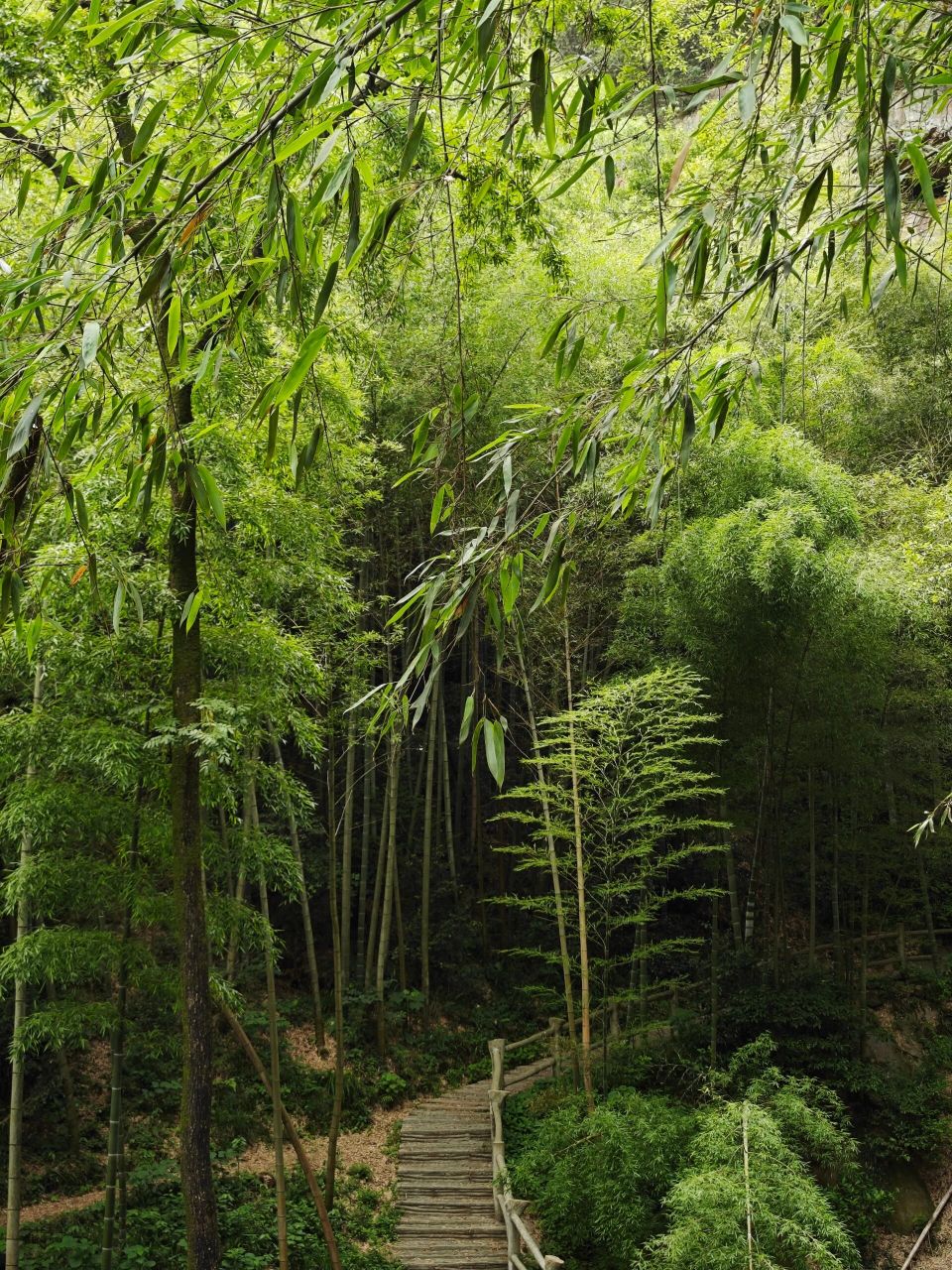 舒城滴水岩 721595从市区出发,导航舒城县滴水岩风景区,约一个