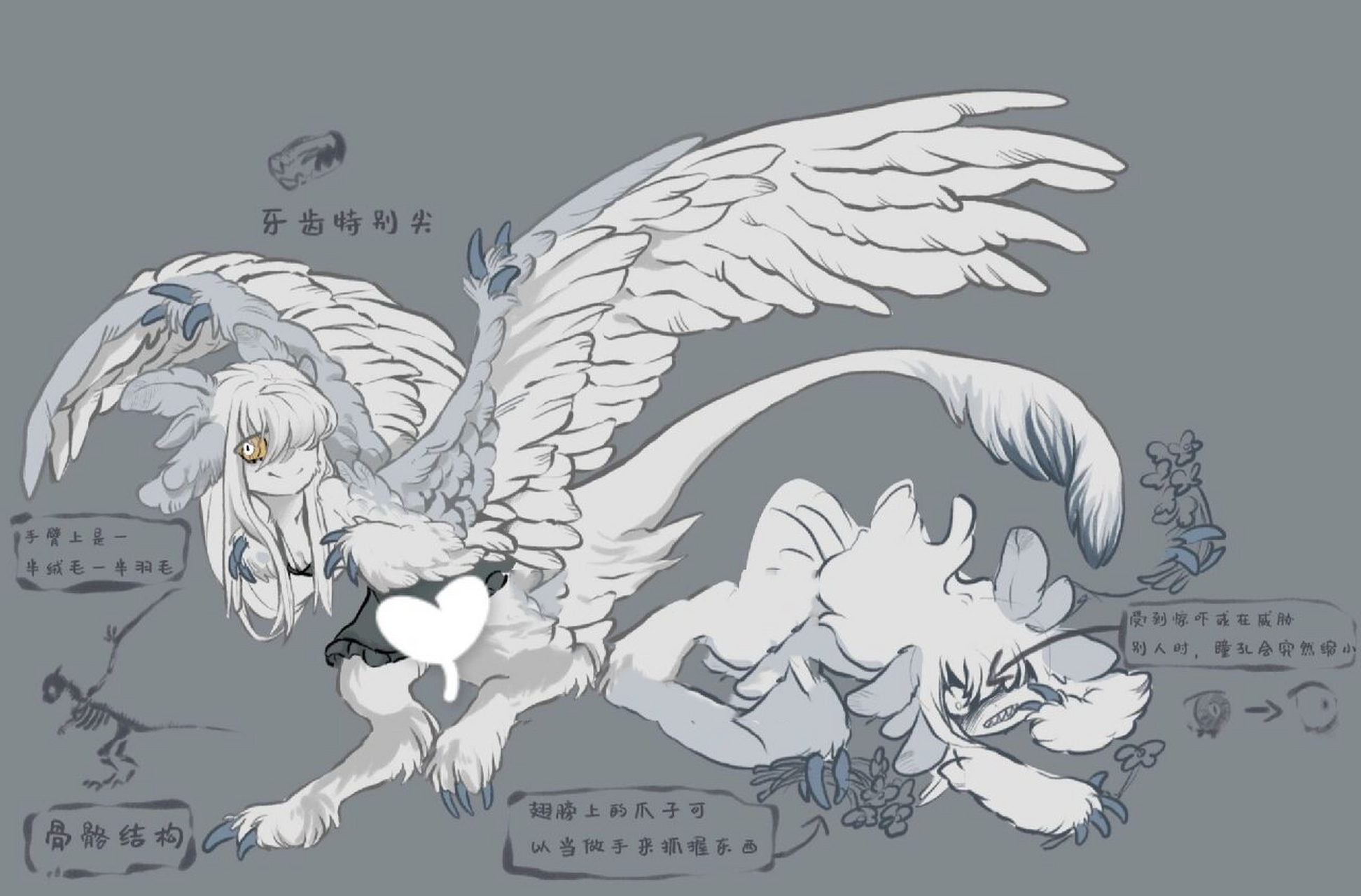 兽设约稿 预算保密 模板74 兽人风优先 板/指绘优先 很挑画风 不喜