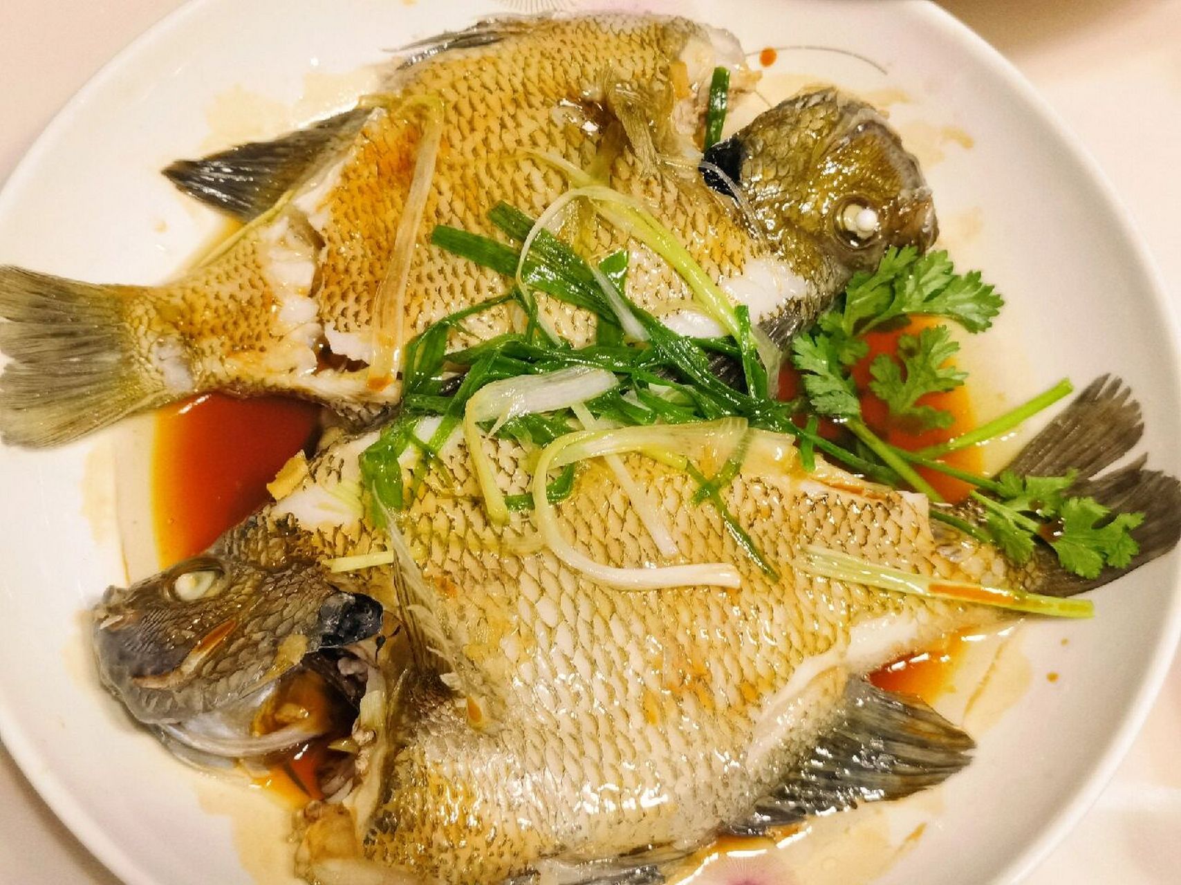 清蒸太阳鱼 超级鲜美 少刺 宝宝多吃聪明 太阳鱼我们家宝宝一岁就开始