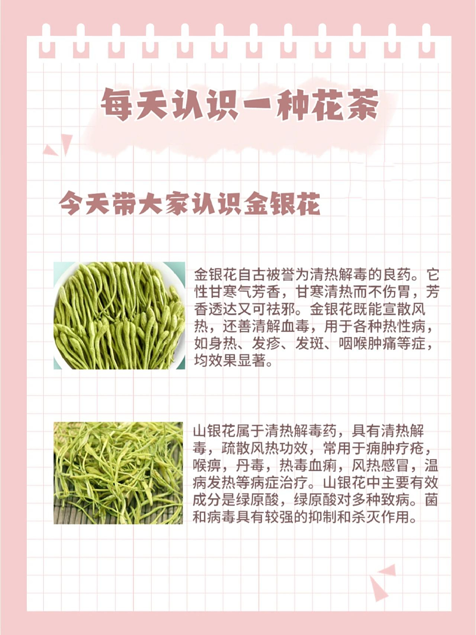 一,金银花,又名忍冬"金银花"一名出自《本草纲目》,由于忍冬花初开为