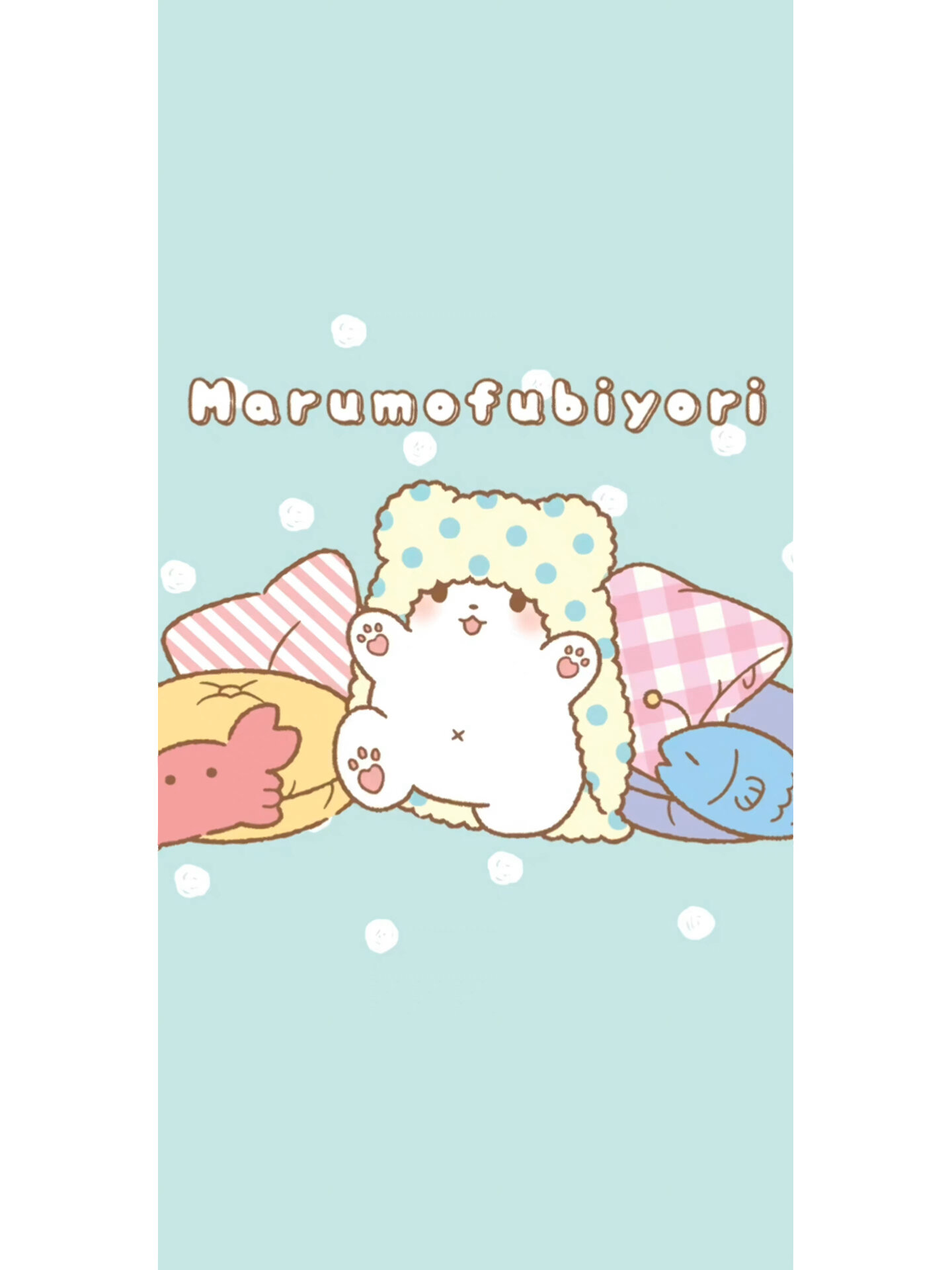 毛毯熊生日手机壁纸来啦