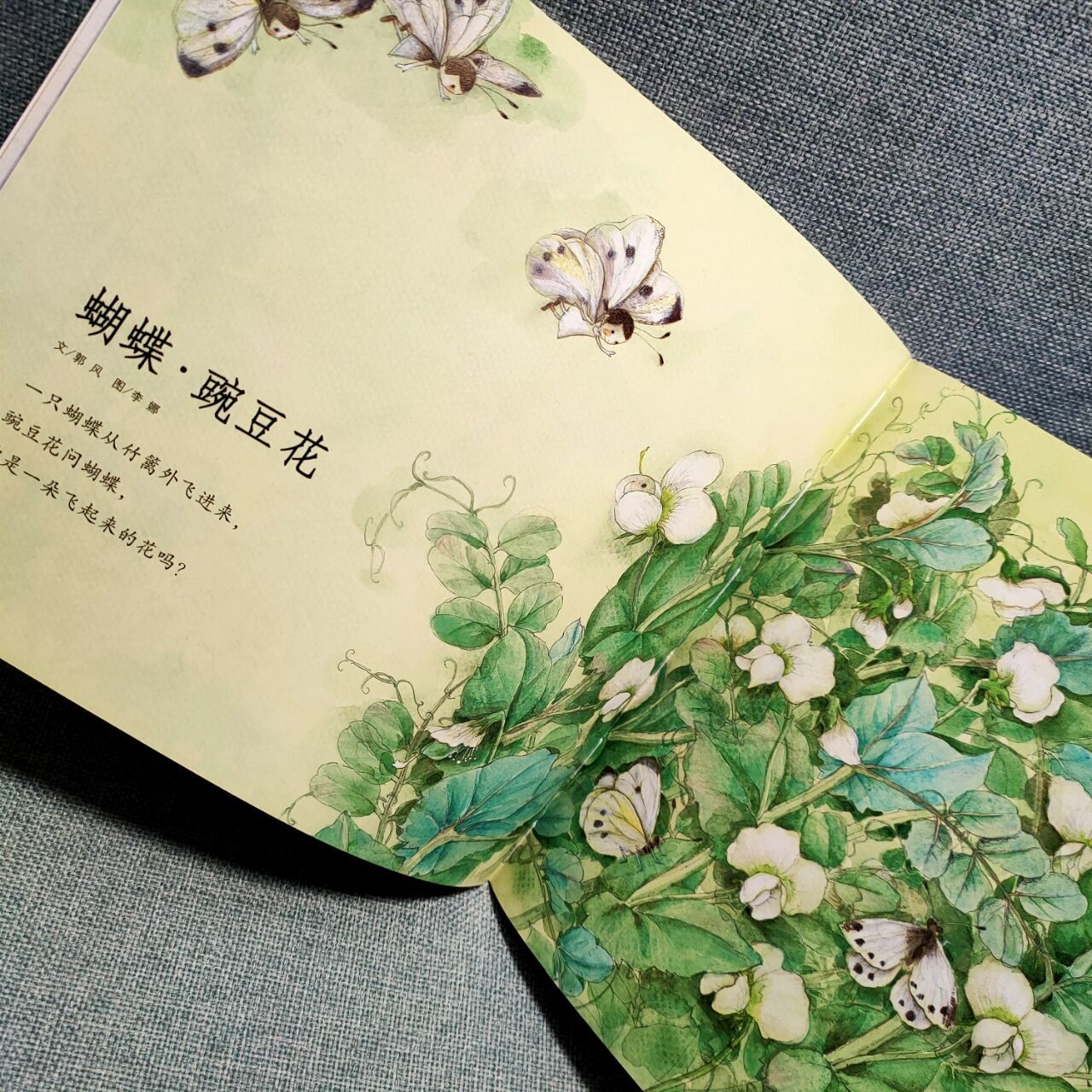 中国经典童诗绘本《蝴蝶·豌豆花》 绘画主编/蔡皋,诗歌主编/金波