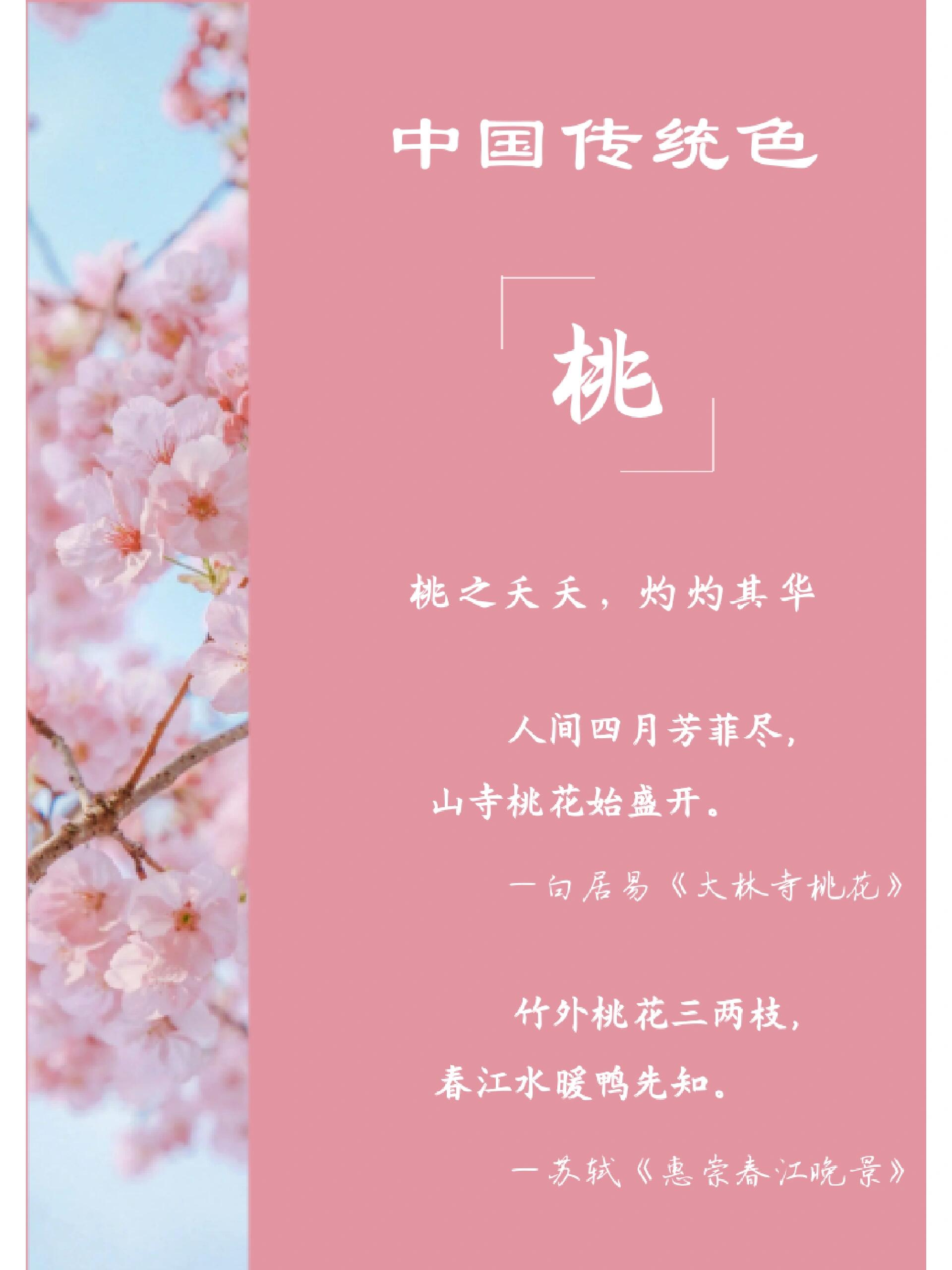9899中国颜色|桃|桃之夭夭,灼灼其华