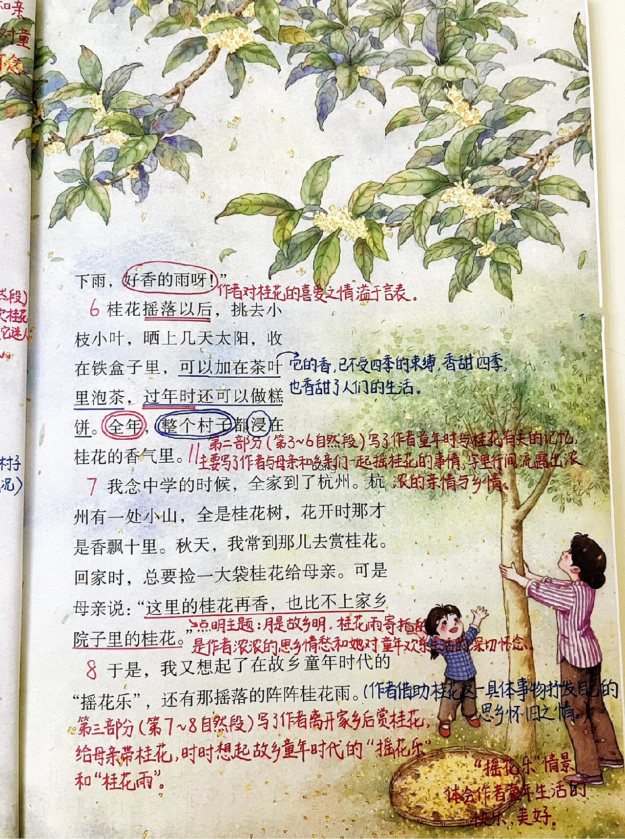语文五年级上册第3课《桂花雨》课本笔记