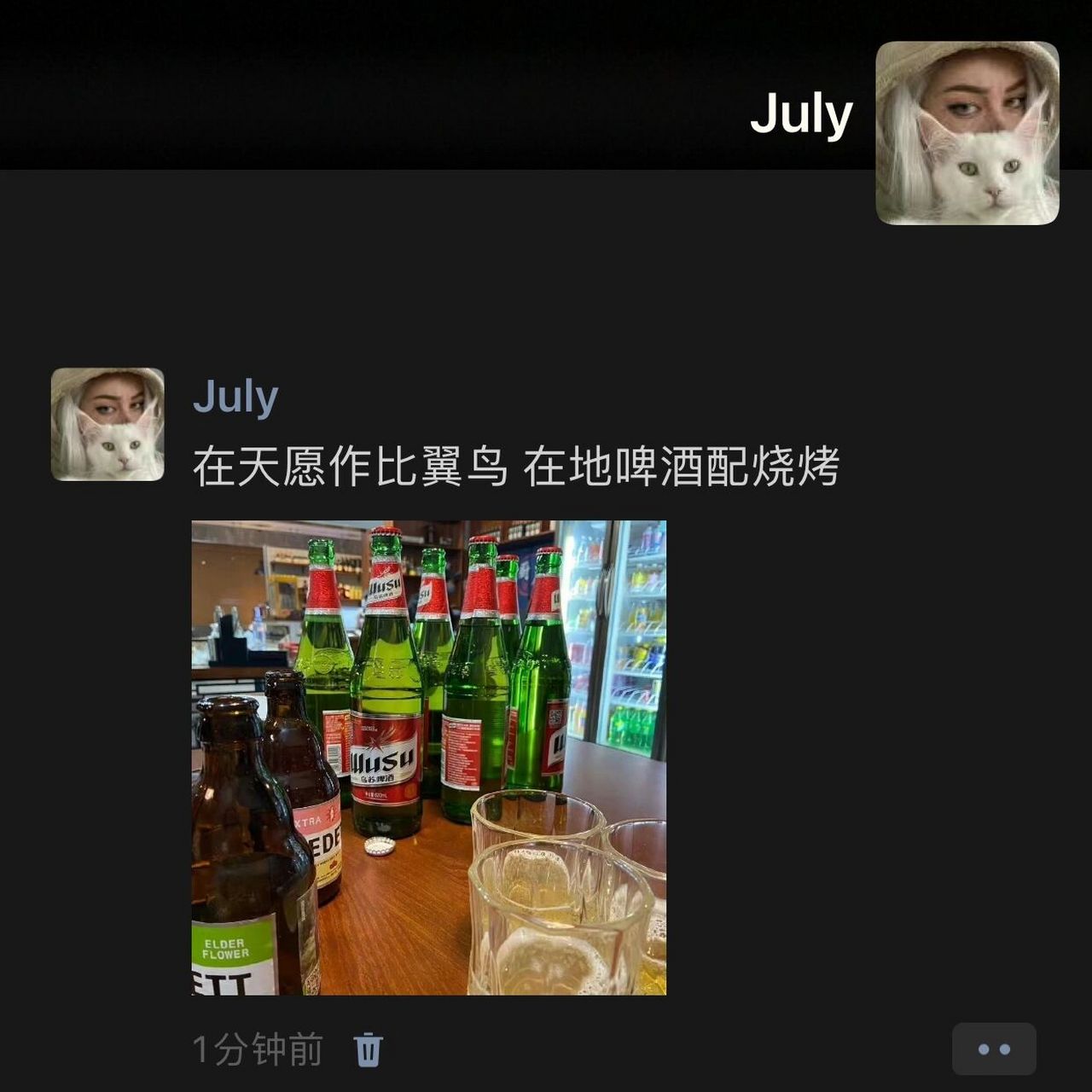 wechat 微信朋友圈文案 | 夜里啤酒配烧烤           白天运动减肥餐