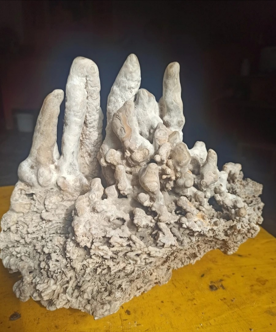 钟乳石(stalactite),又称石钟乳 钟乳石(stalactite),又称石钟乳,是指