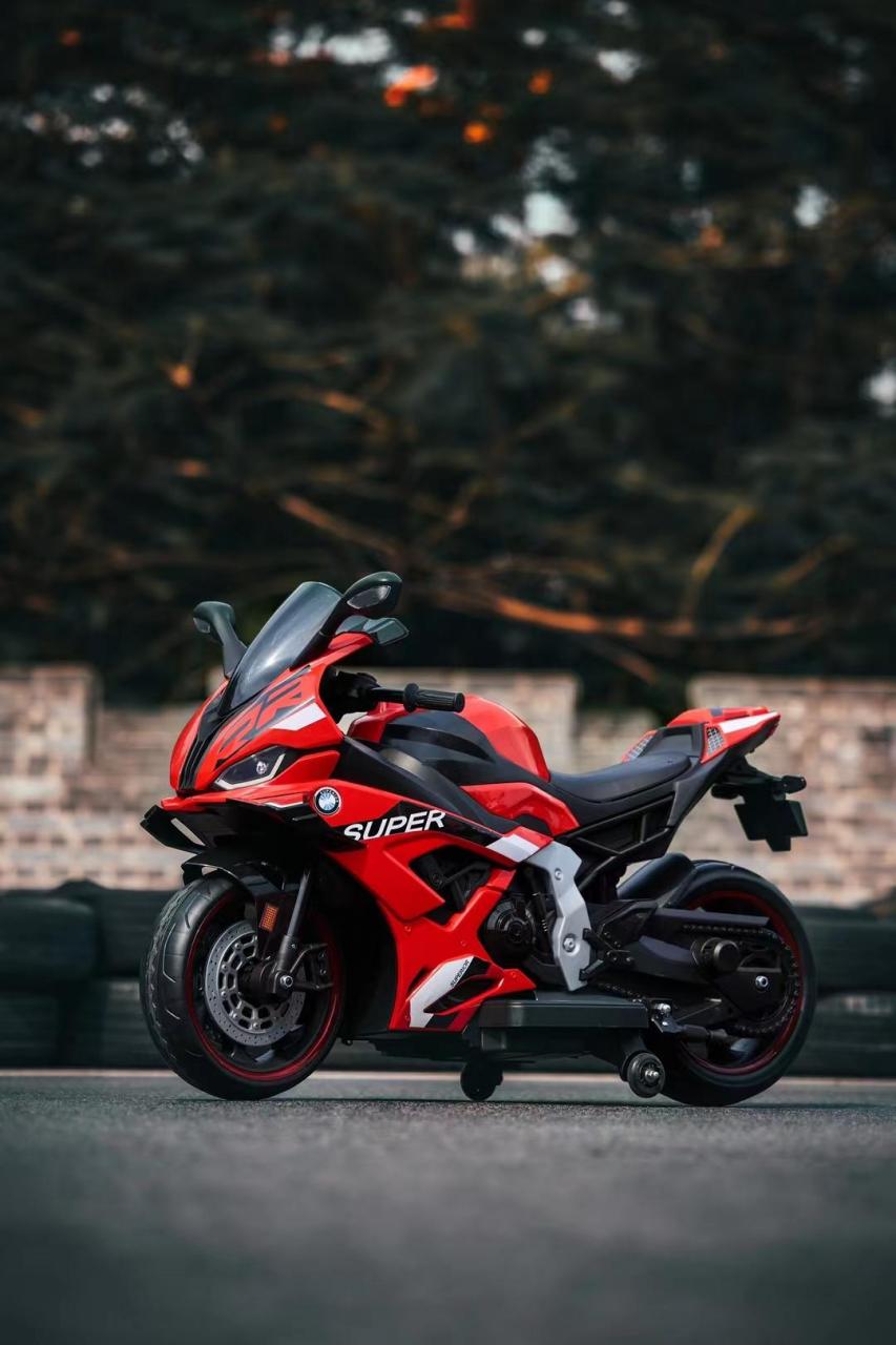 品牌:贝多奇 宝马双r1000 碳纤维摩托车🏍 型号:bdq-008 超大款