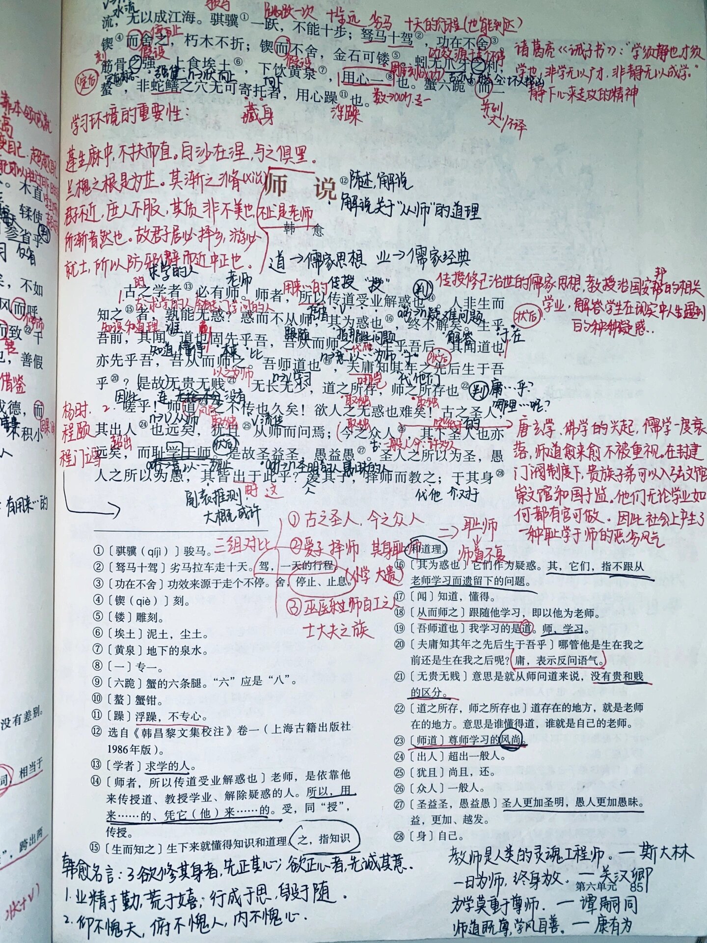 高一必修上 | 《师说》课本笔记