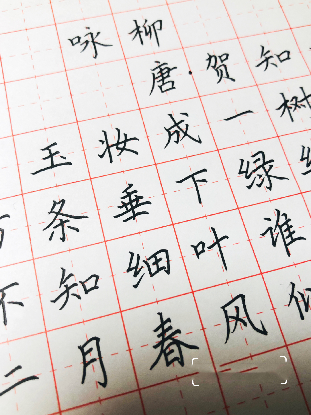 手写丨硬笔书法 古诗二首《咏柳.@秘谈趣说的动态