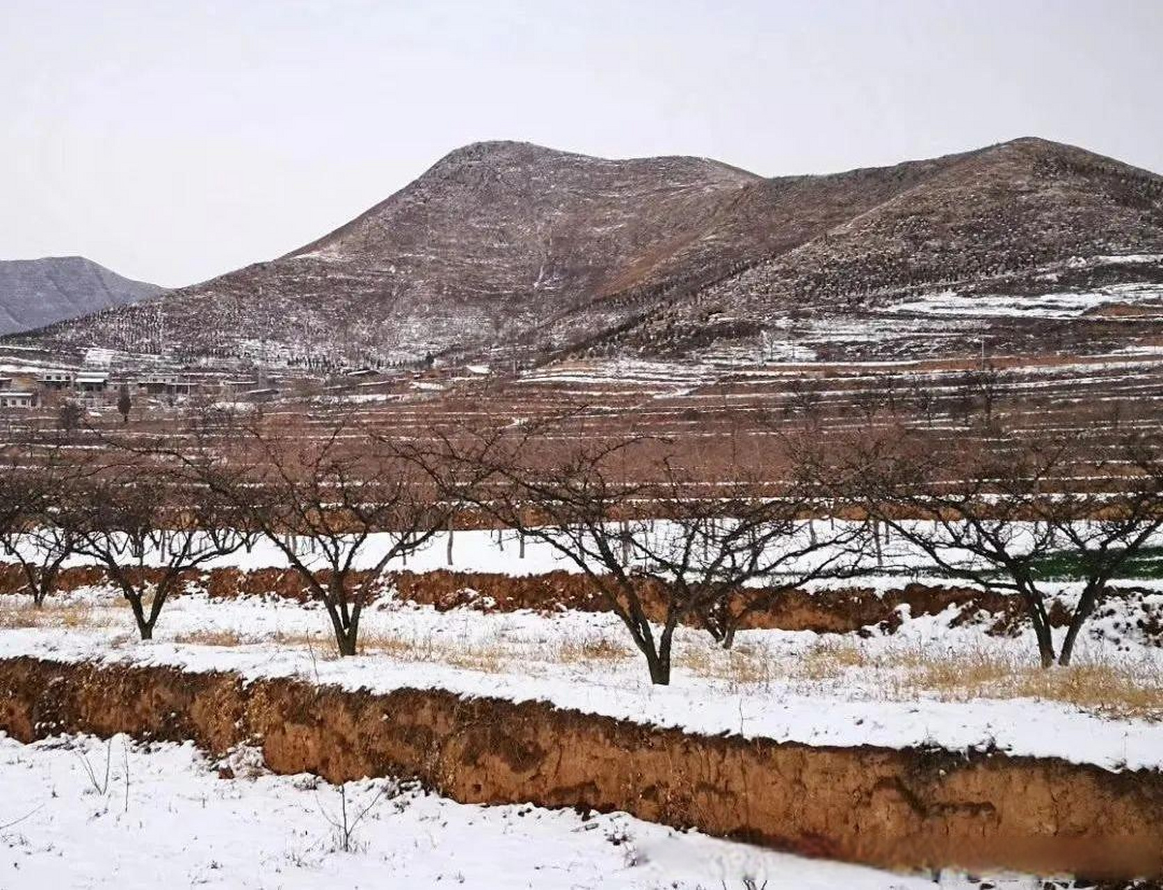 第一场雪飘然而至,富平虎头山的风景更是不一般.