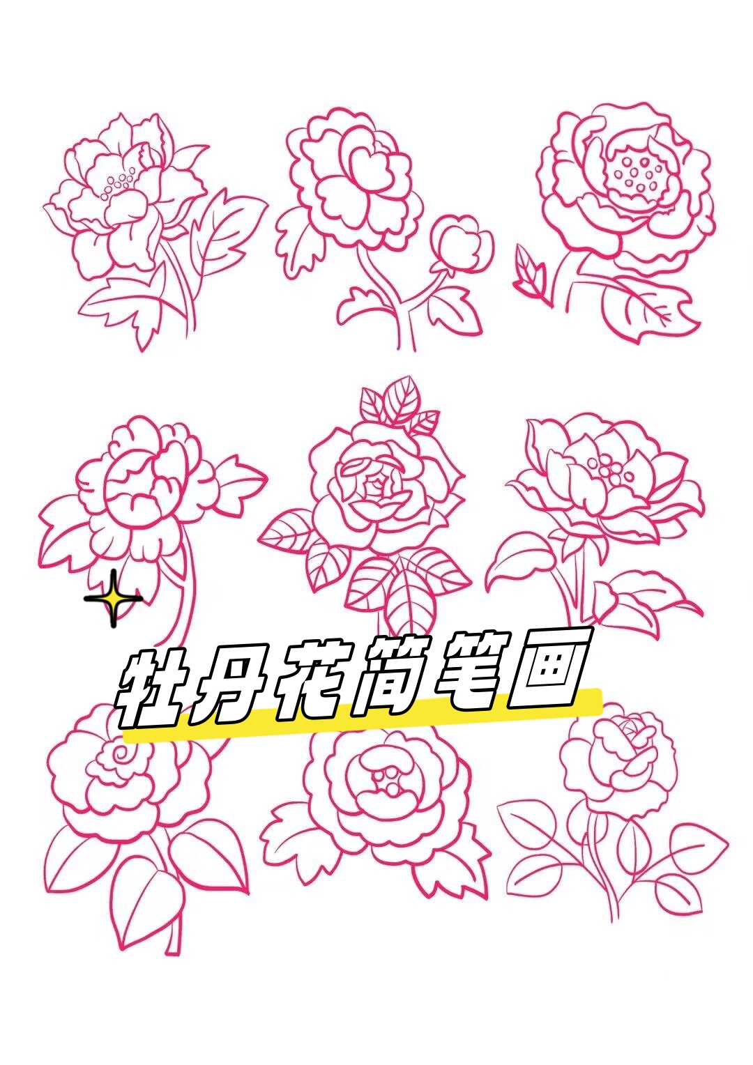 牡丹花简单简笔画图片