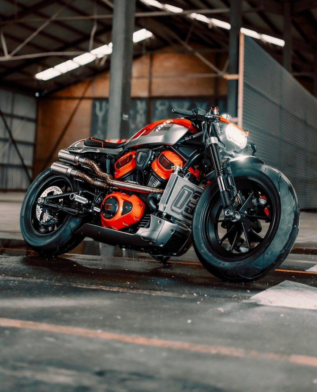 哈雷戴维森sportsters