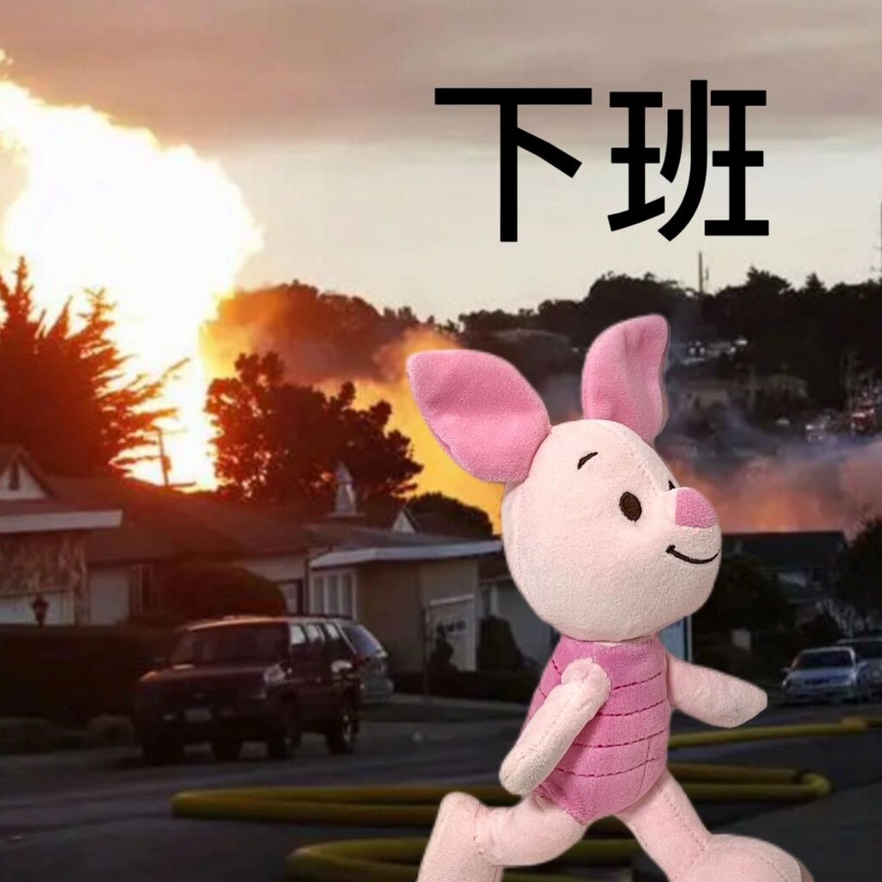 表情包分享|有什么事都明天再说吧 皮总说: 什么事情都不能阻止我下班