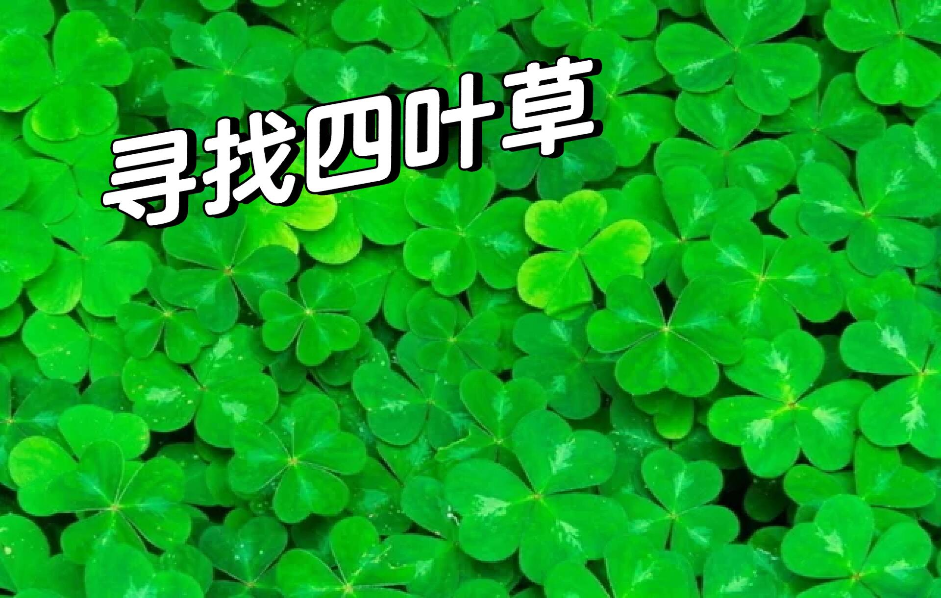 寻找四叶草