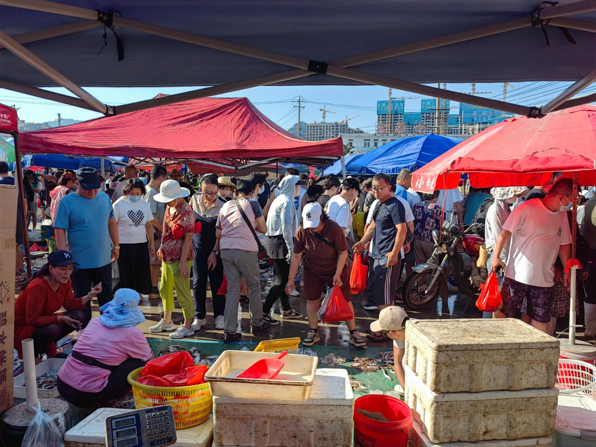 青岛码头海鲜市场图片