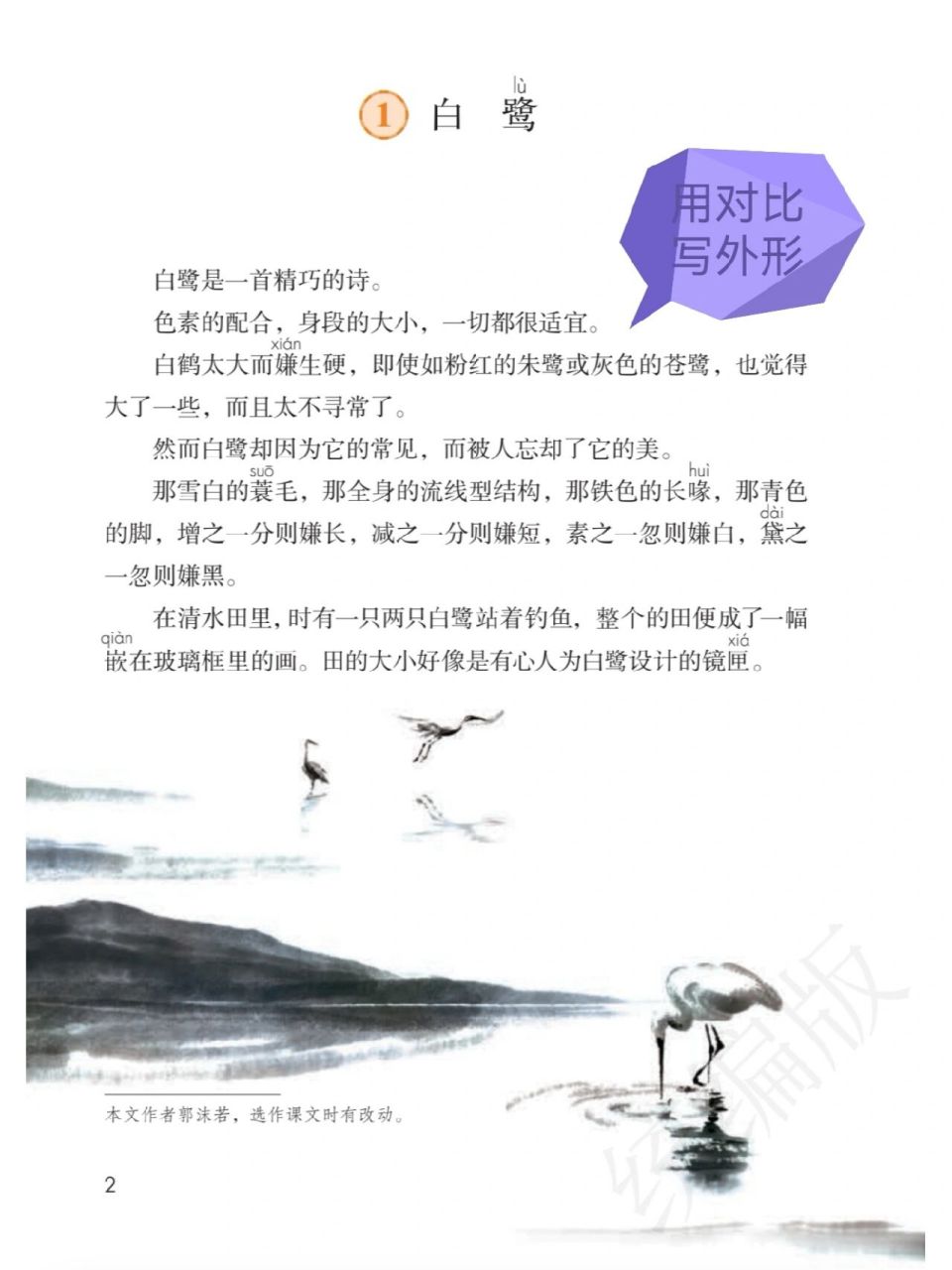 跟着课文学练笔(五年级上册)—《白鹭》 跟着课文学练笔(五年级上册)