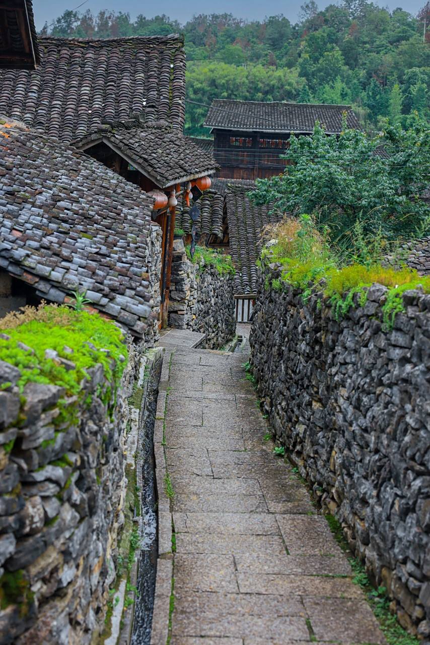 藏在山里的古村-龙潭古寨 龙潭古寨,位于贵州务川县,是一个保存完好的