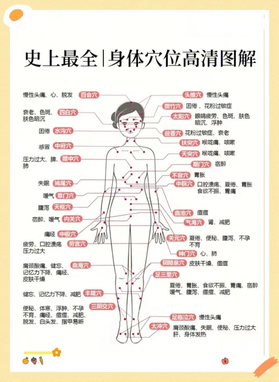 人体全身血位图及作用图片