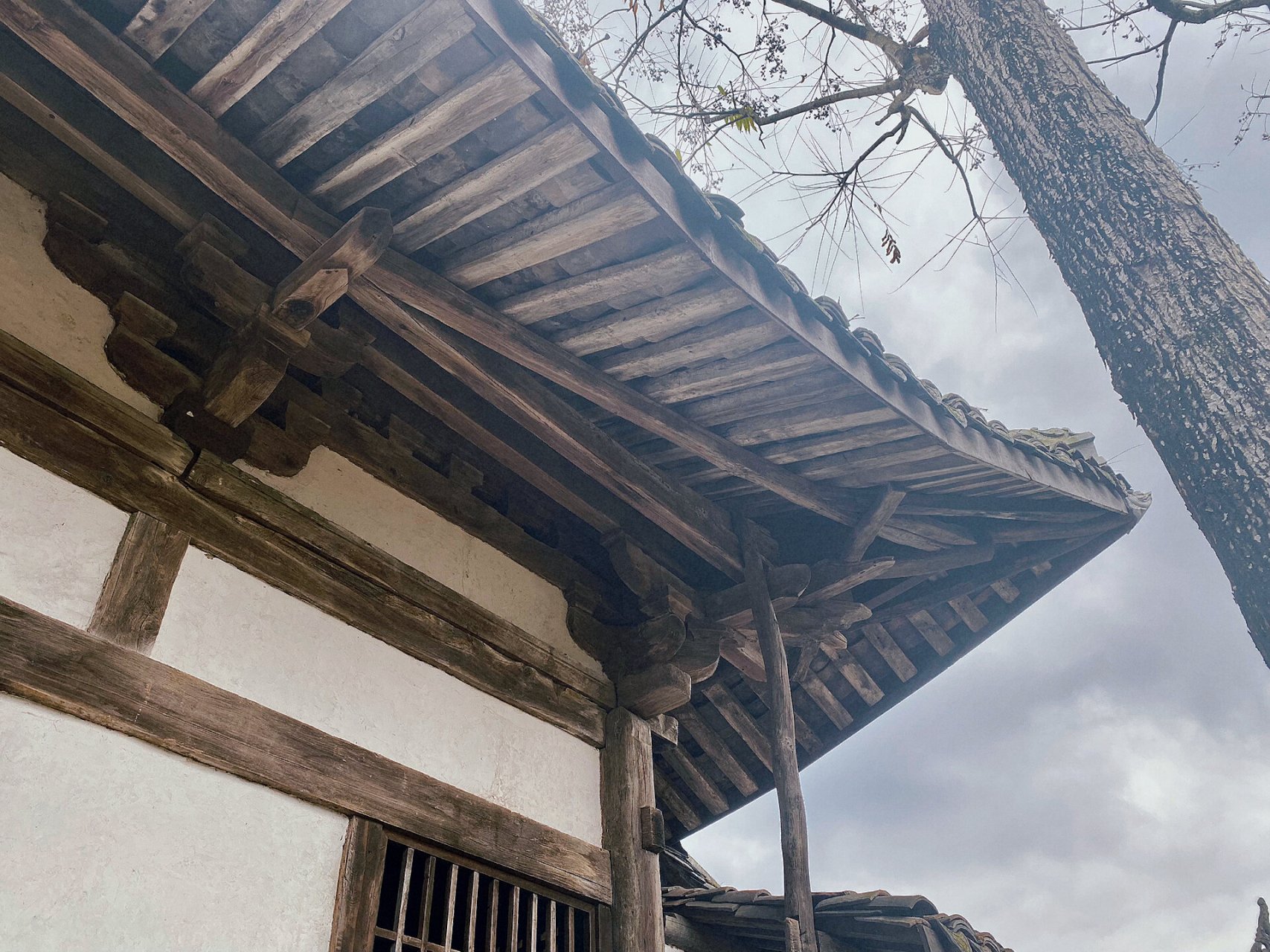 蓬溪金仙寺|穿越700年沧桑岁月的漏网之鱼 蓬溪金仙寺大殿原位于四川